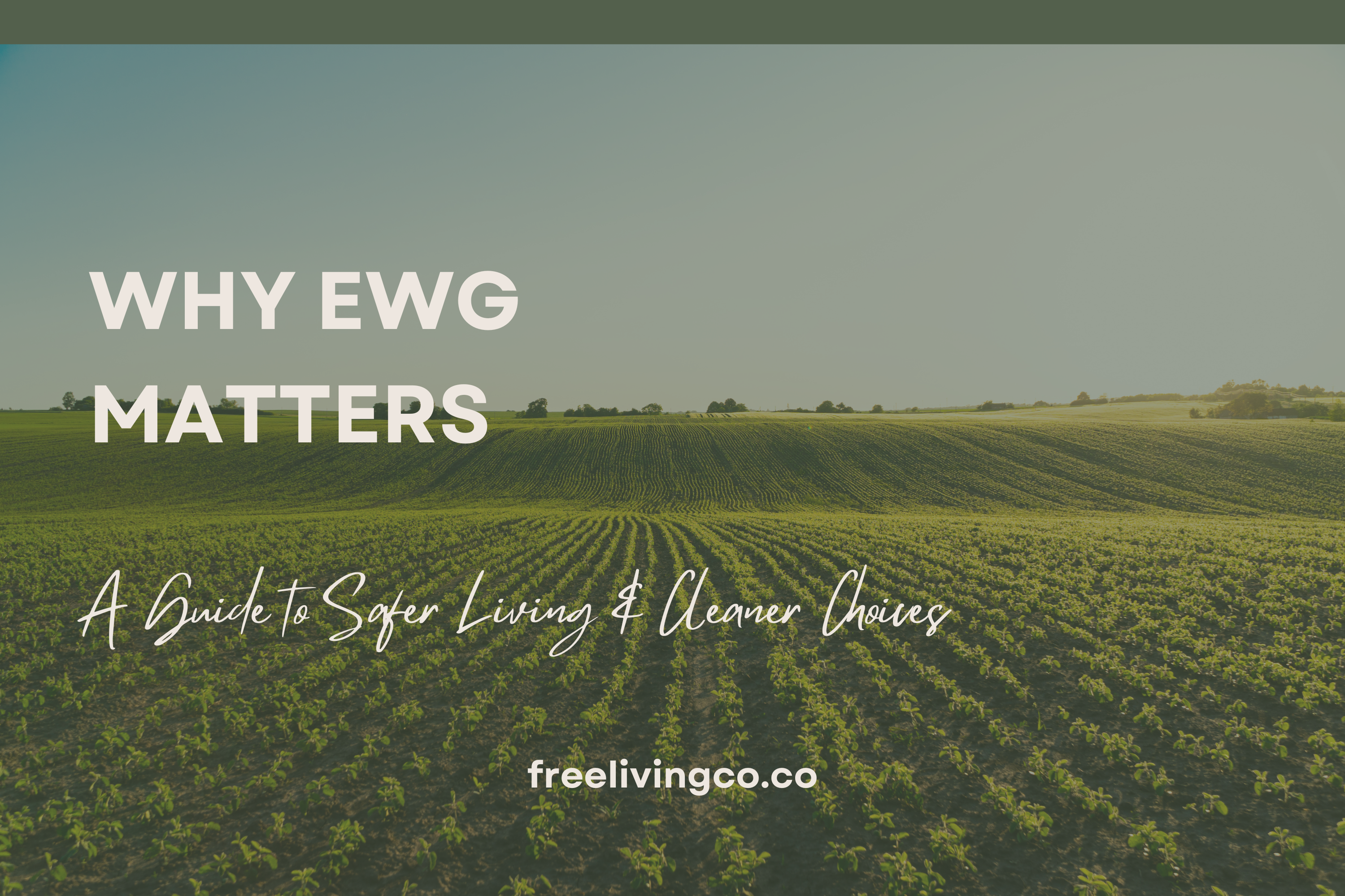 Why EWG Matters: A Guide to Safer Living and Cleaner Choices