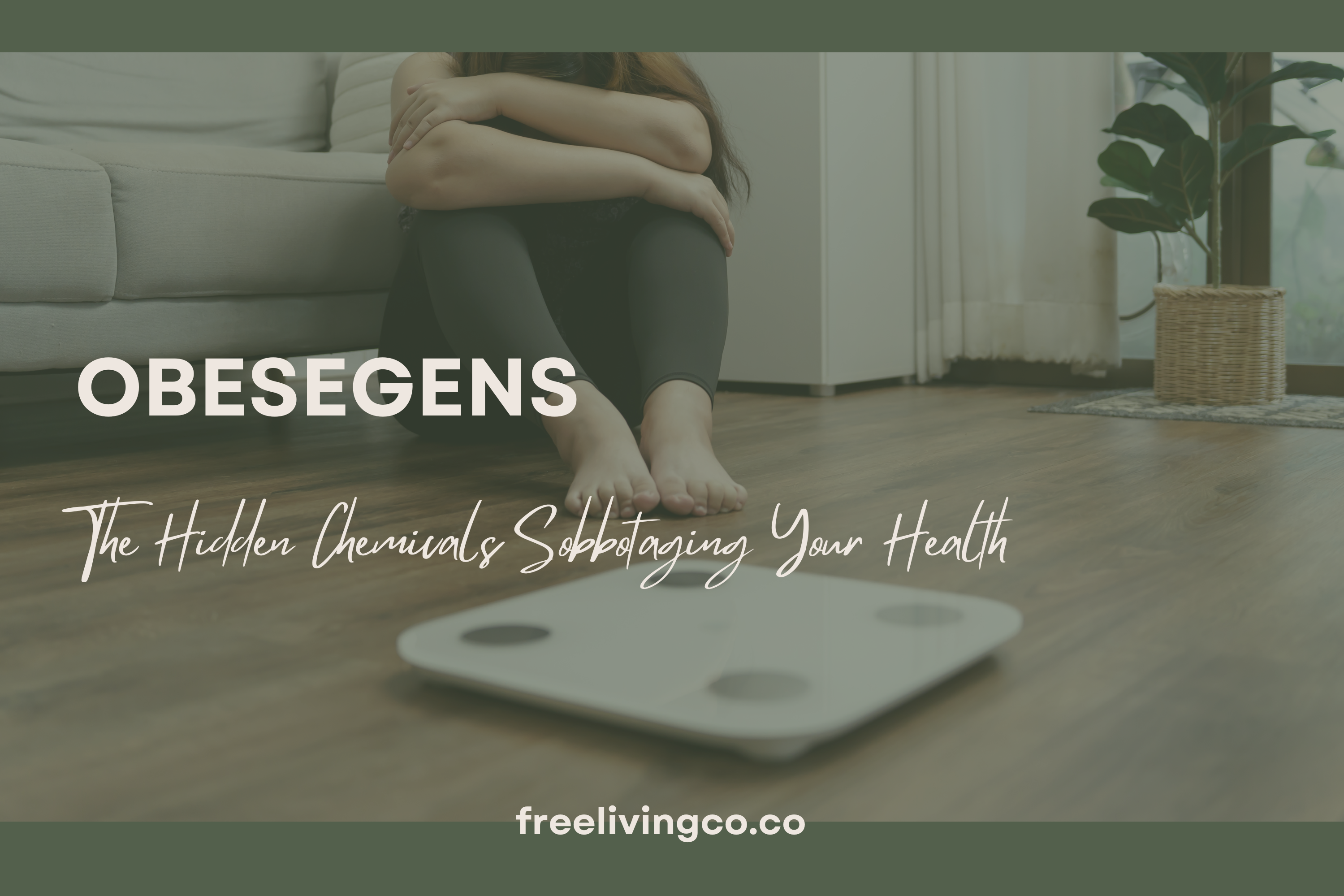 Obesogens: The Hidden Chemicals Sabotaging Your Health