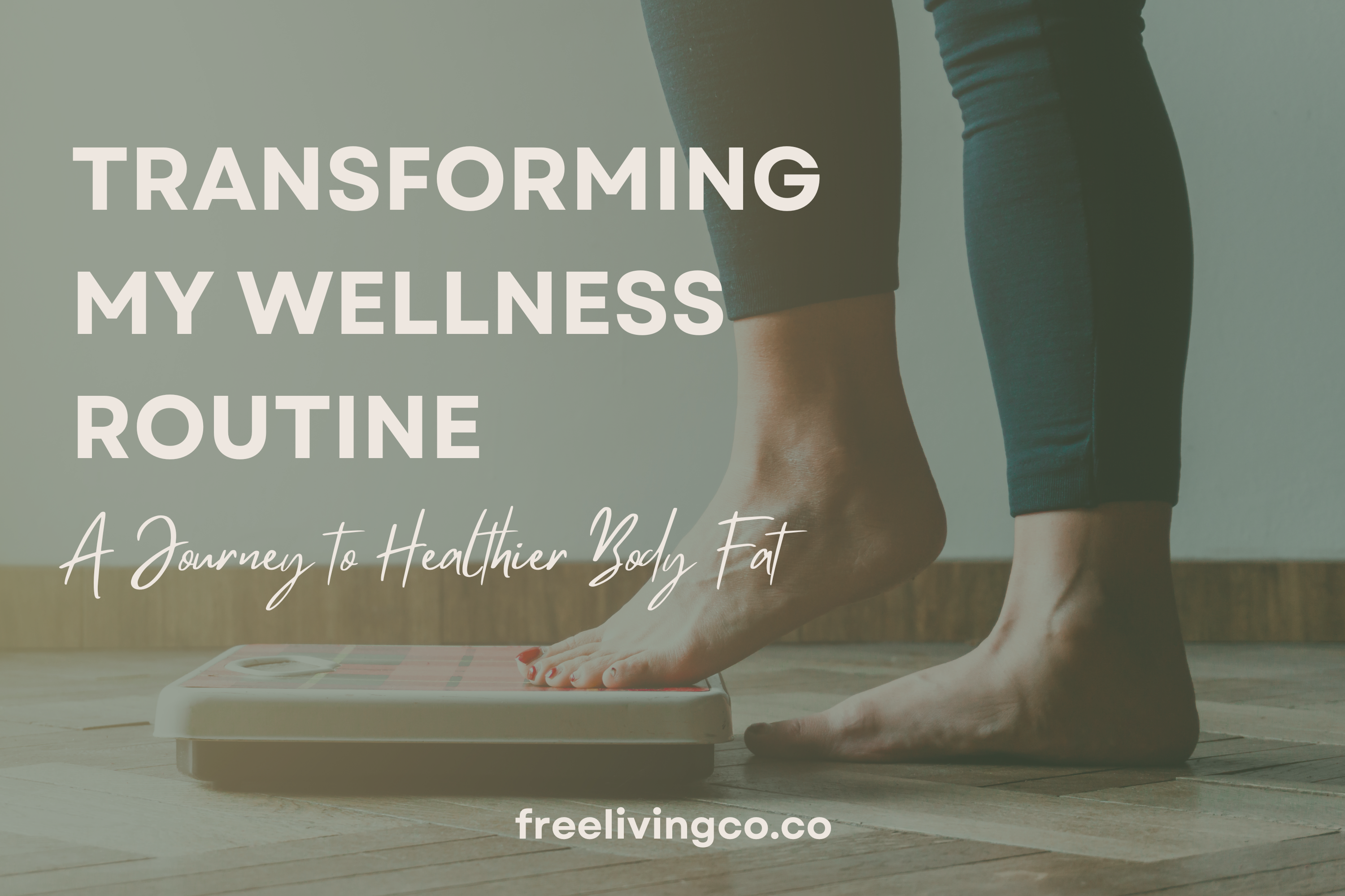 Transforming My Wellness Routine: A Journey to Healthier Body Fat and Longevity