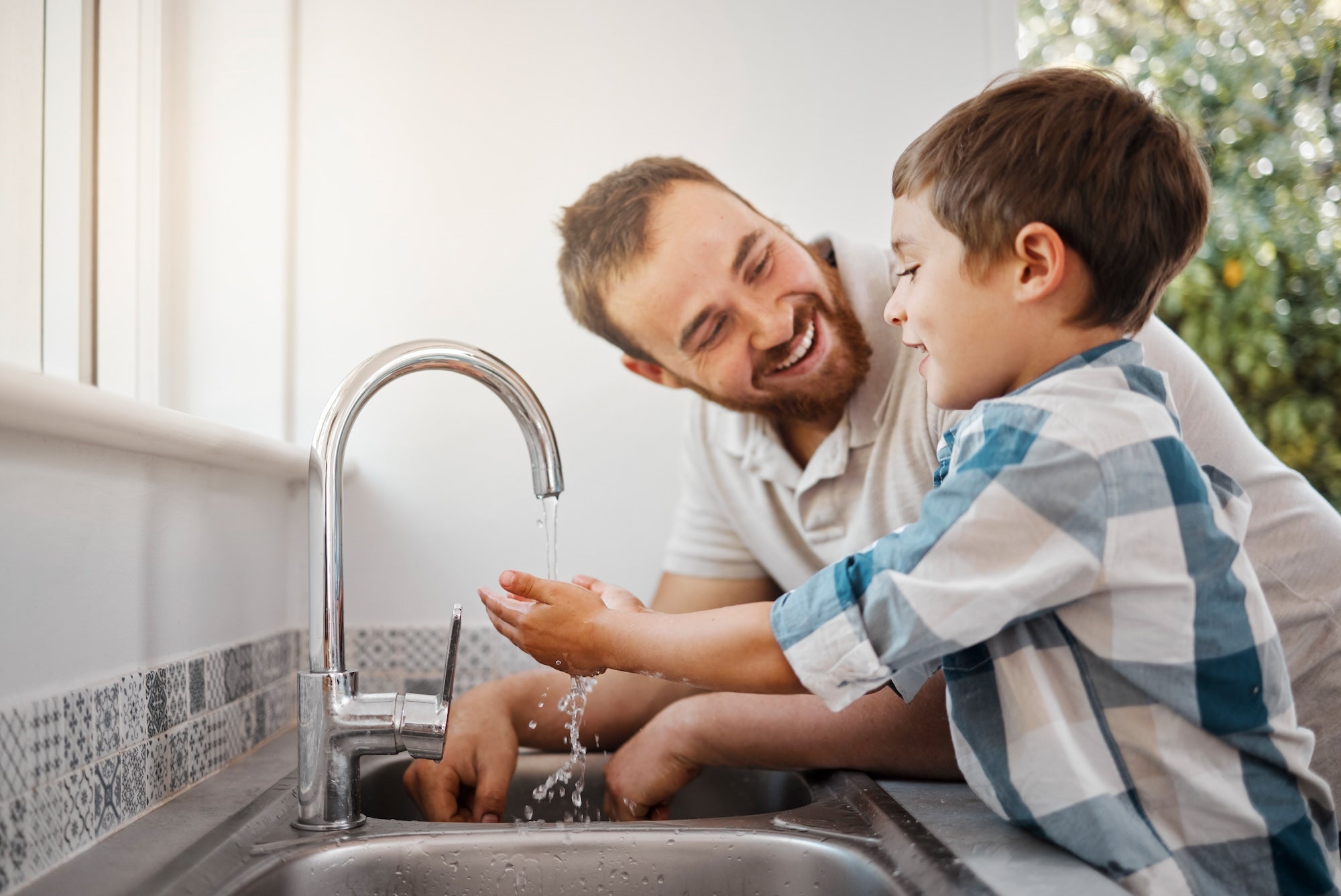 Are Non-Toxic Products the Key to a Healthier Home? - Free Living Co