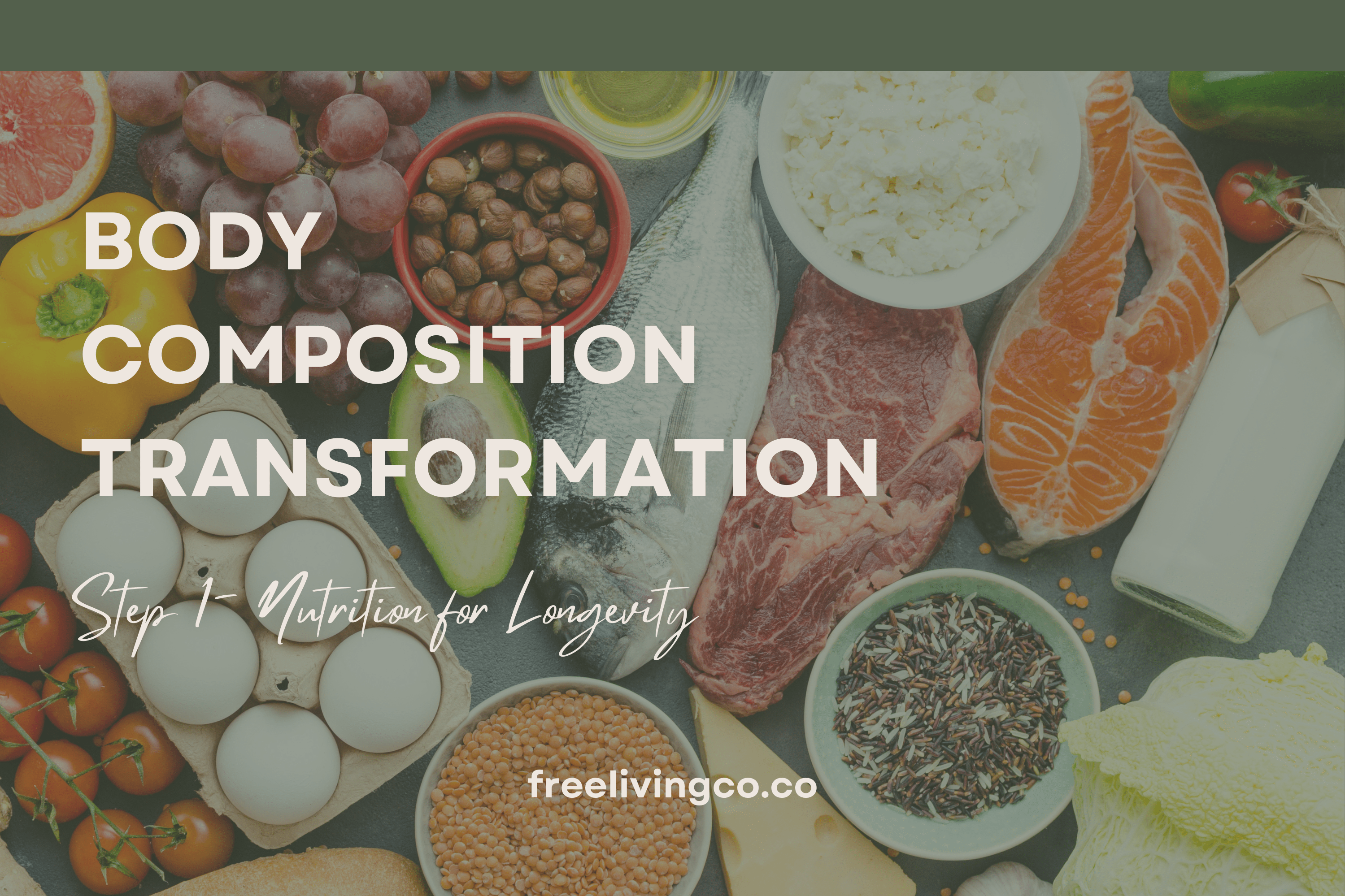 Body Composition Transformation: Step 1 - Nutrition for Longevity - Free Living Co