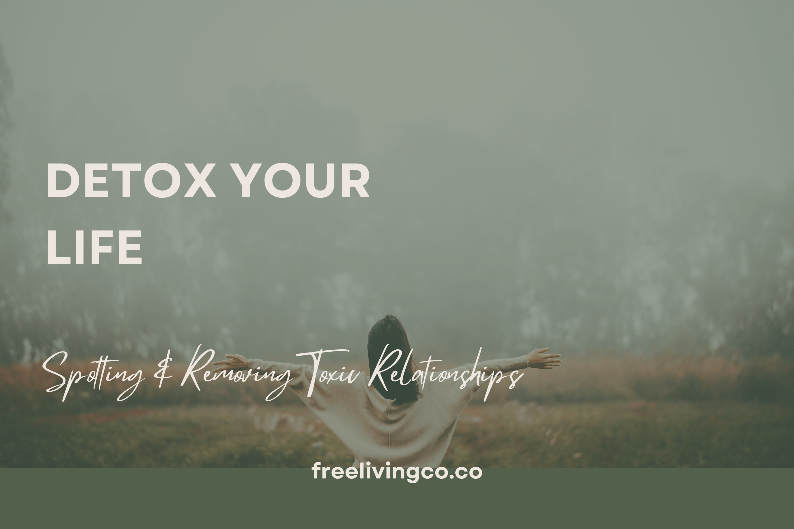 Detox Your Life: Spotting and Removing Toxic Relationships - Free Living Co