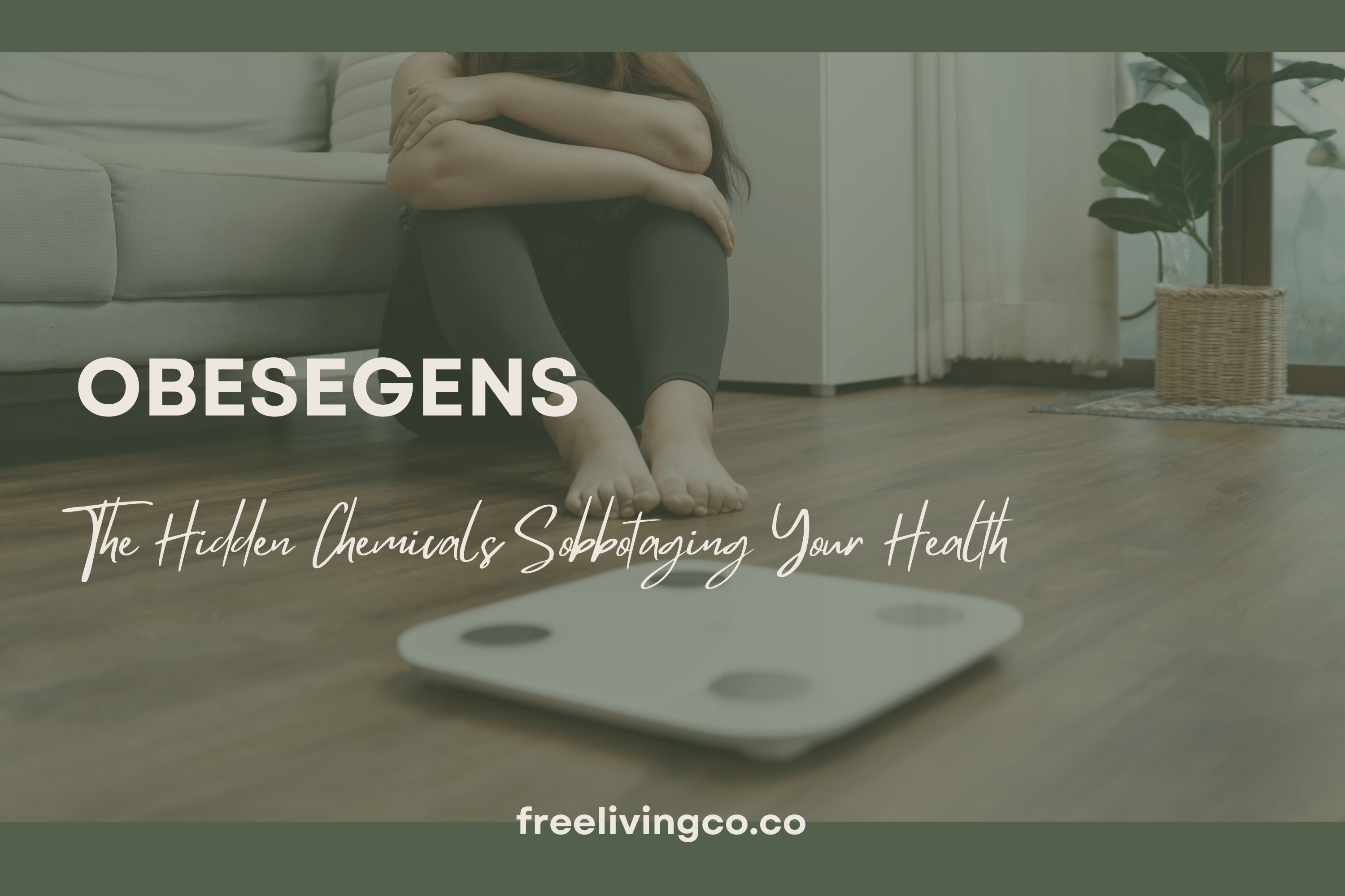 Obesogens: The Hidden Chemicals Sabotaging Your Health - Free Living Co