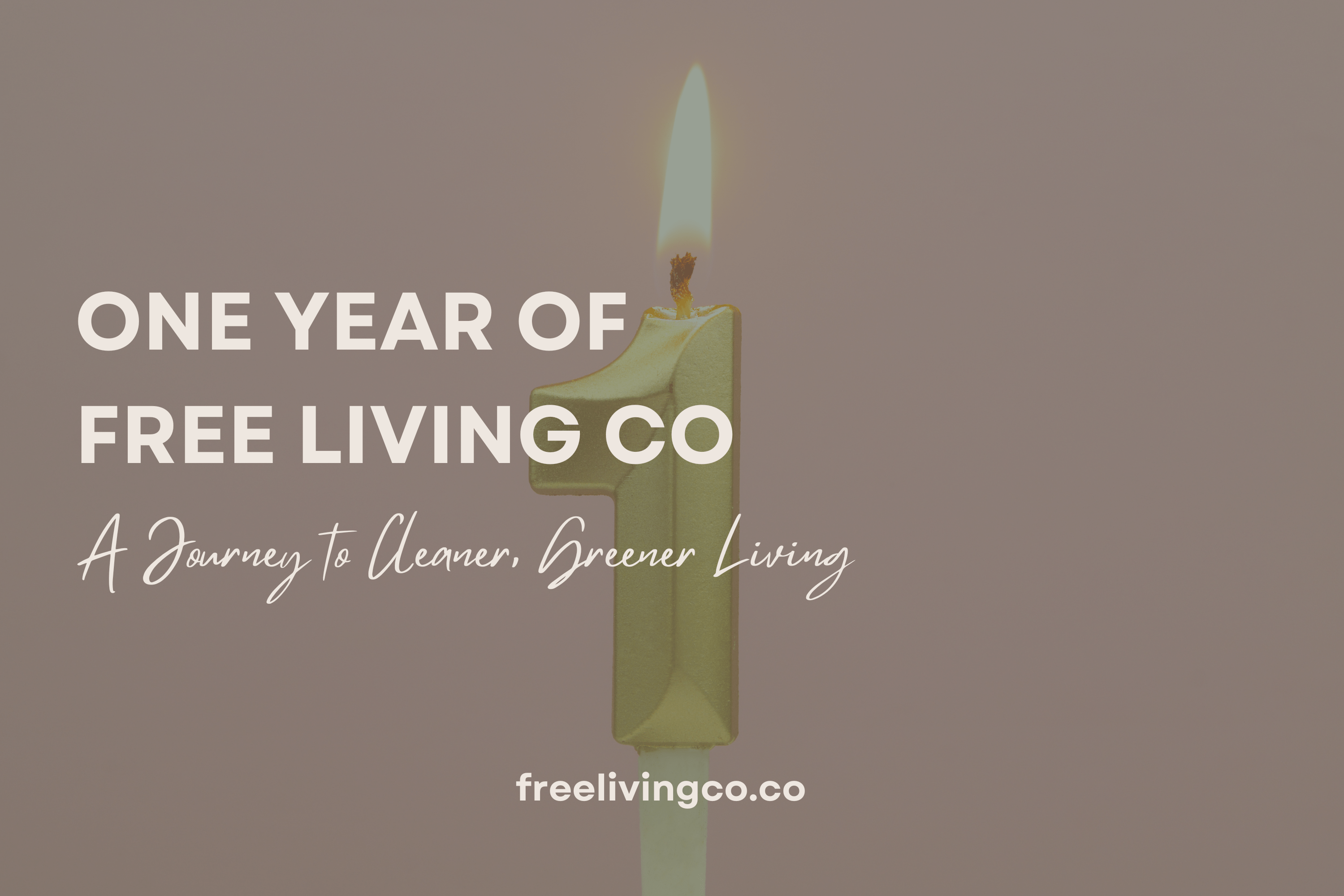 One Year of Free Living Co: A Journey to Cleaner, Greener Living - Free Living Co