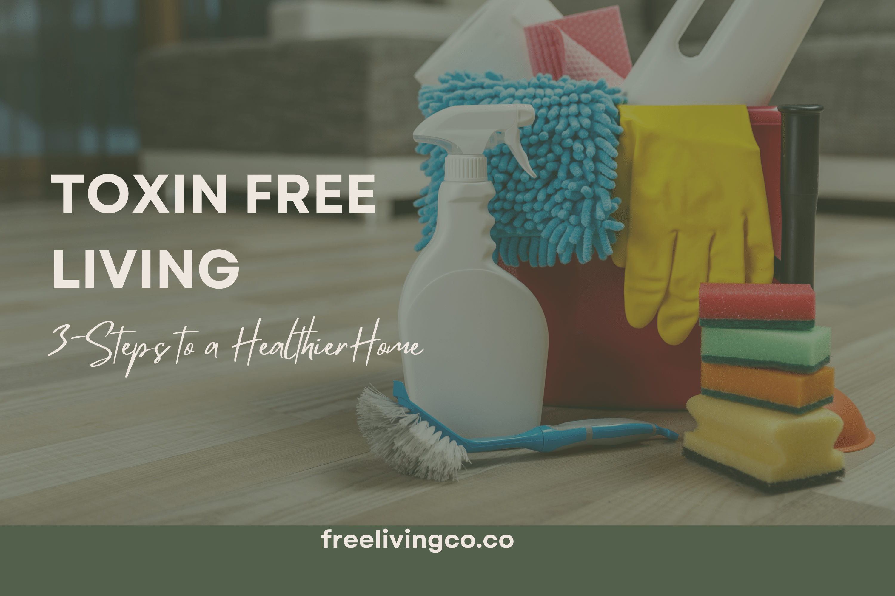 Toxin-Free Living: 3 Steps to a Healthier Home - Free Living Co