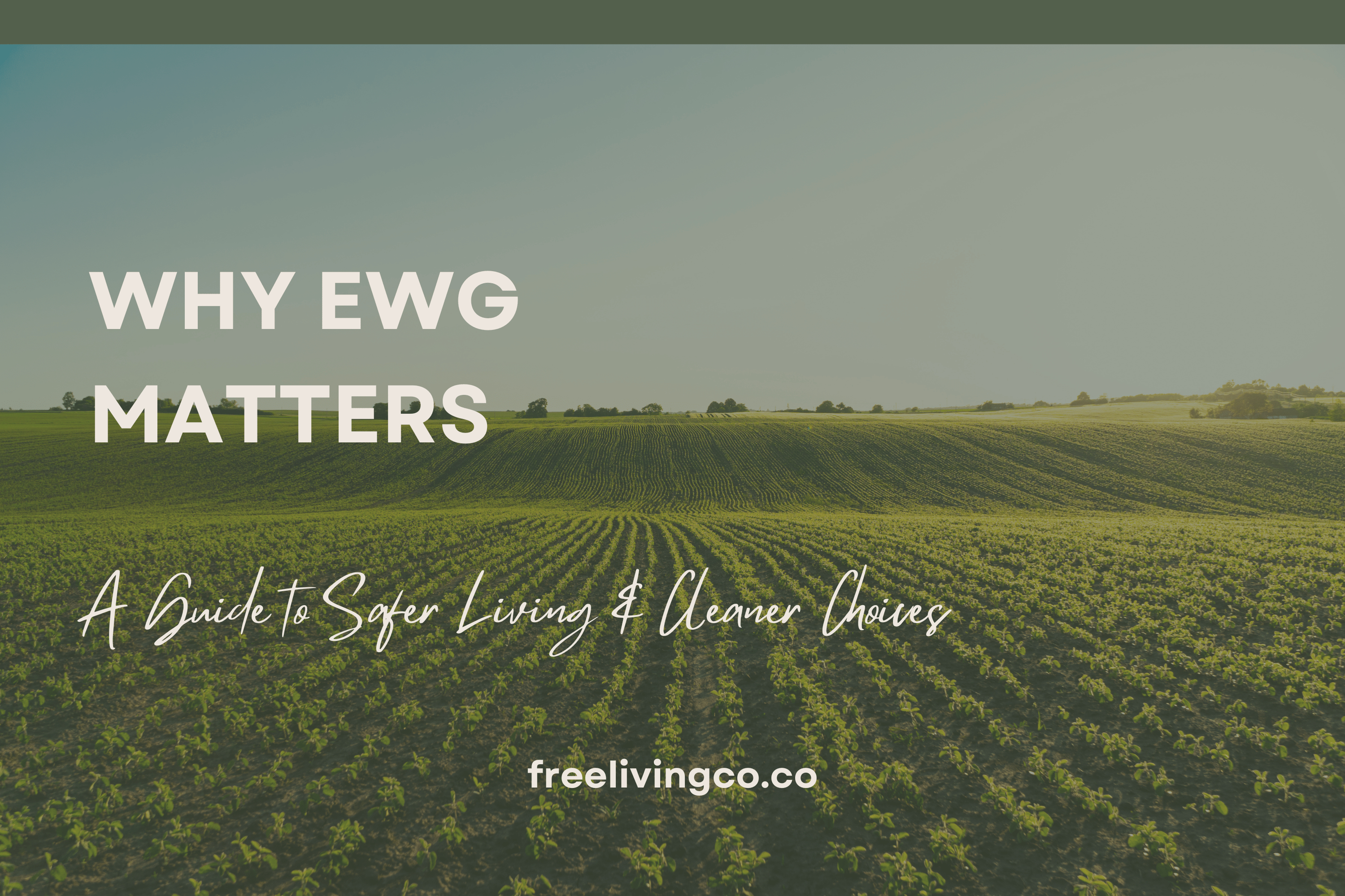 Why EWG Matters: A Guide to Safer Living and Cleaner Choices - Free Living Co