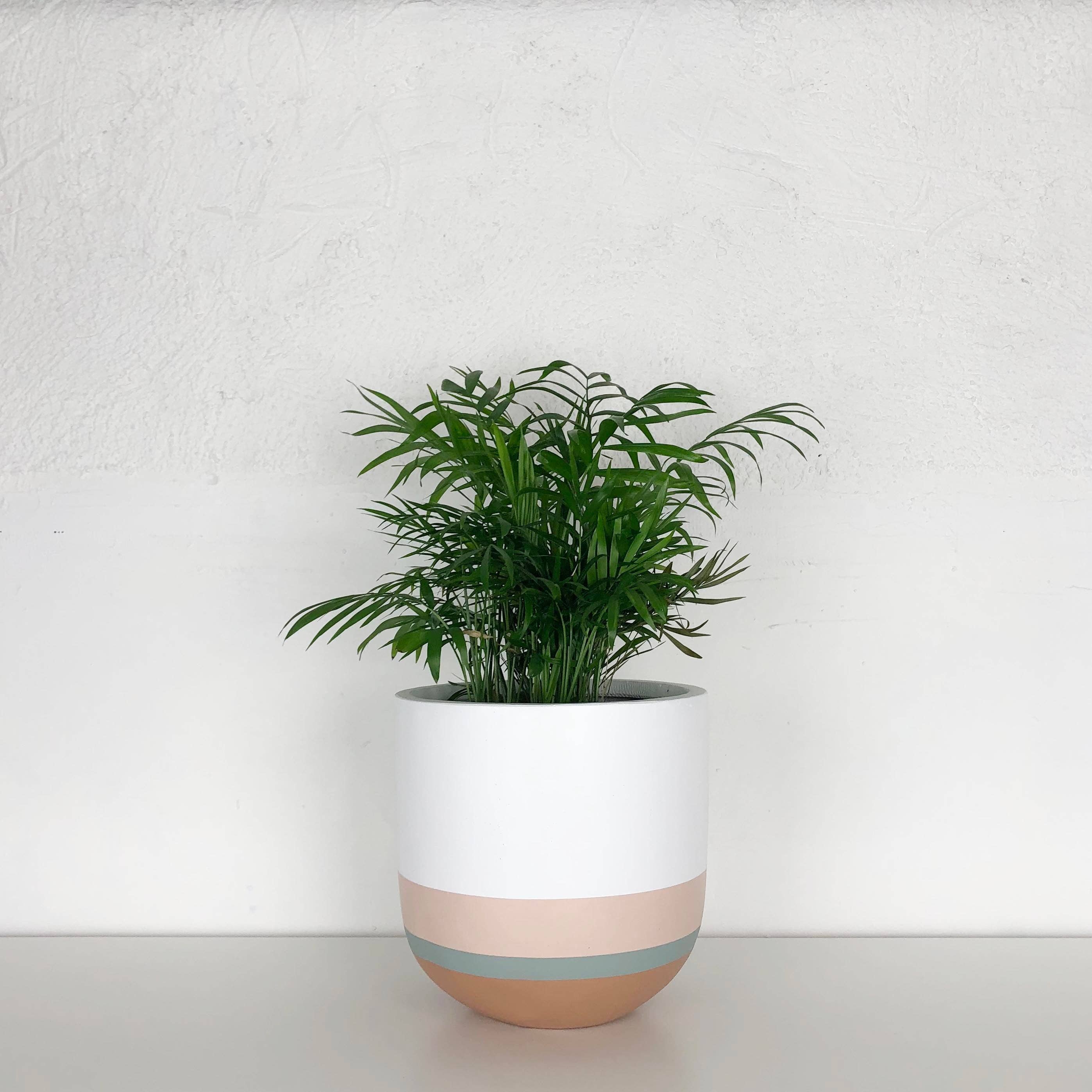 OVERLAY POT | PLANTER