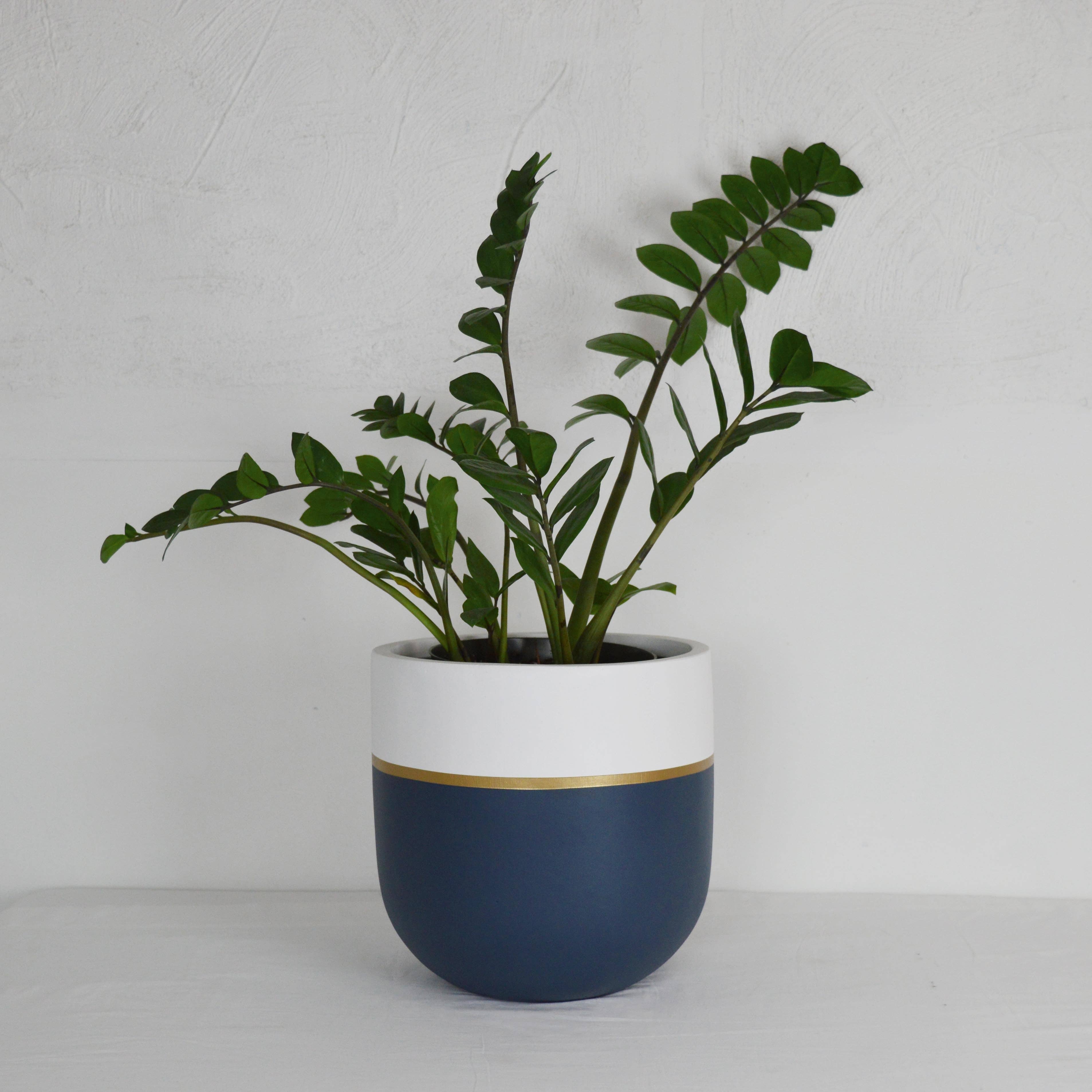 GALA POT | PLANTER