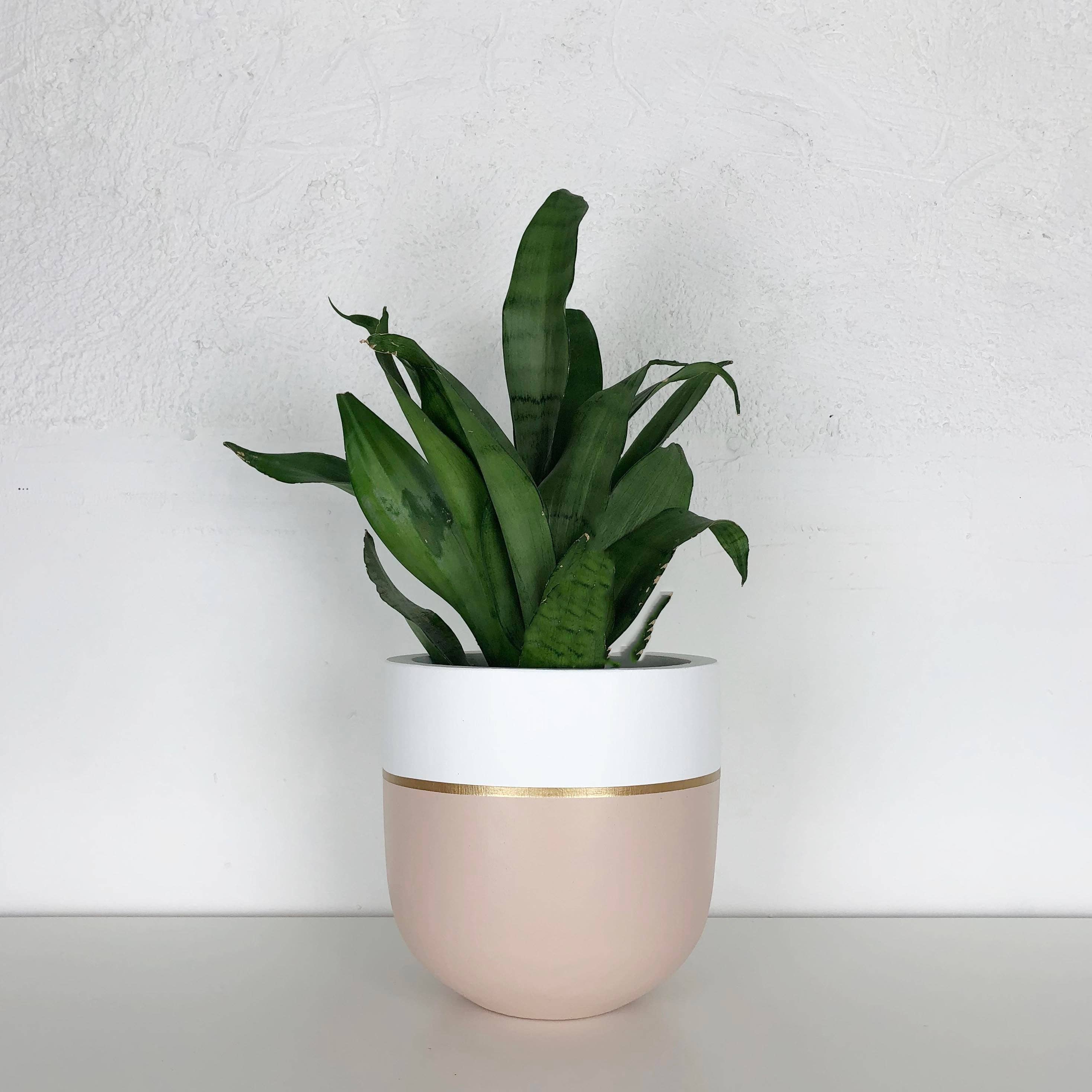 GALA POT | PLANTER