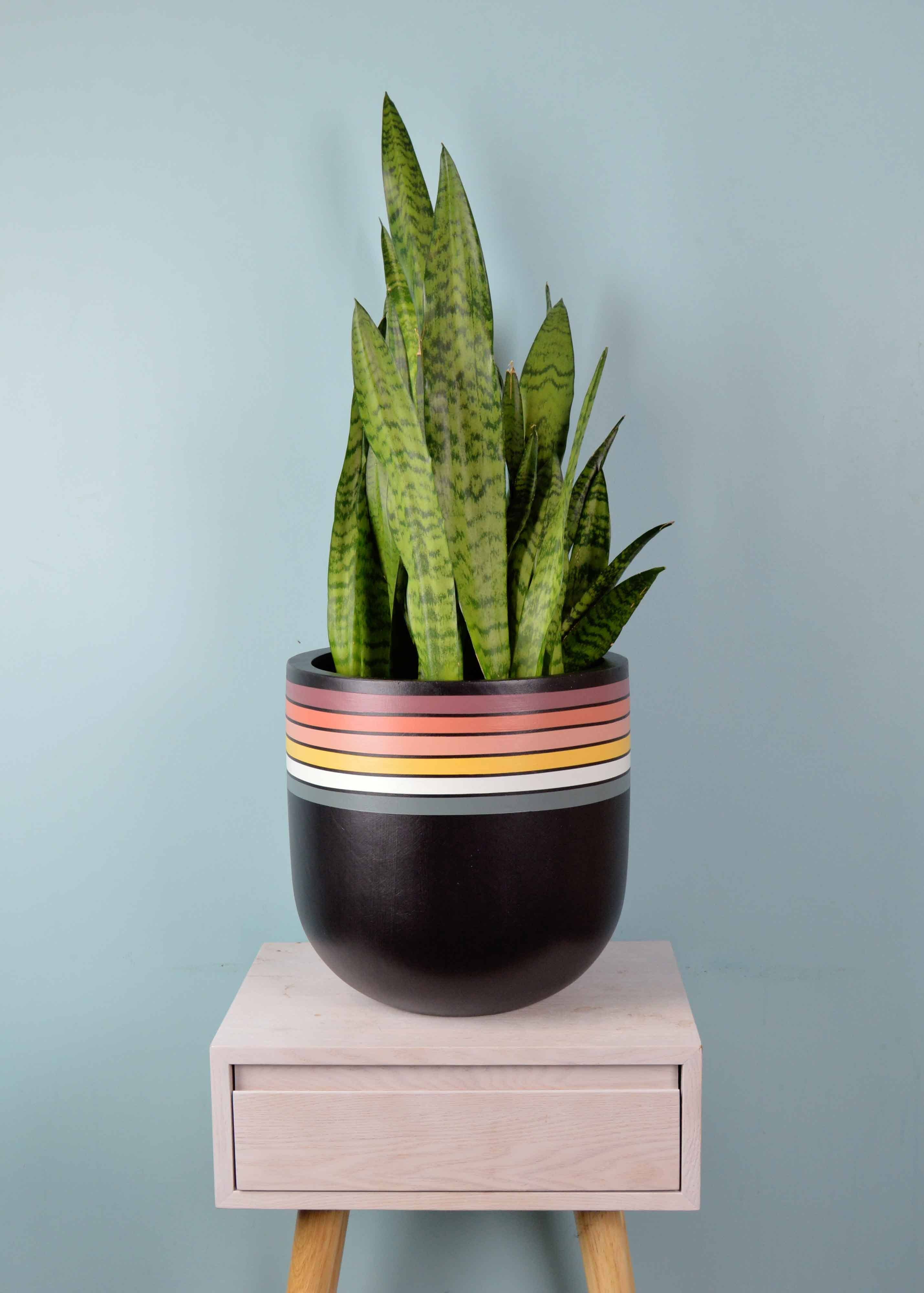 RETRO POT | PLANTER