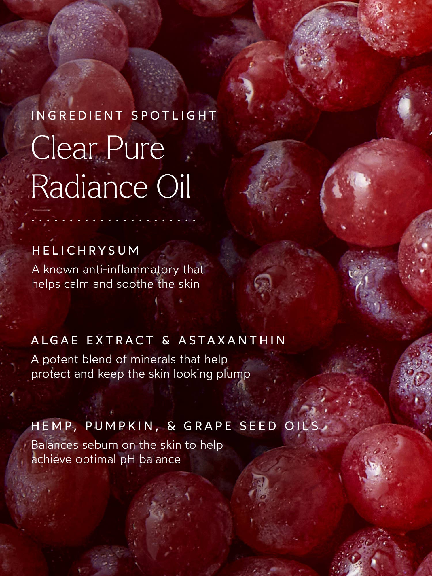 Clear - Pure Radiance Oil