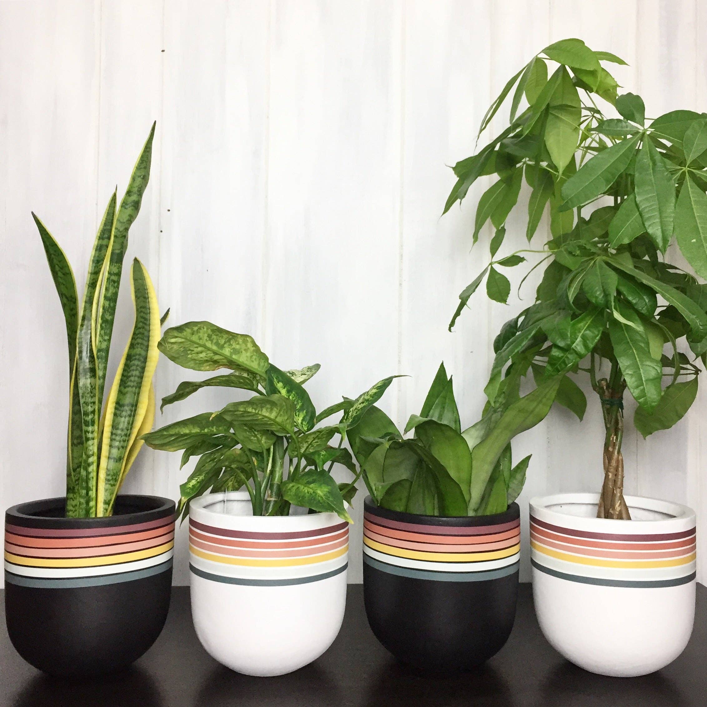 RETRO POT | PLANTER