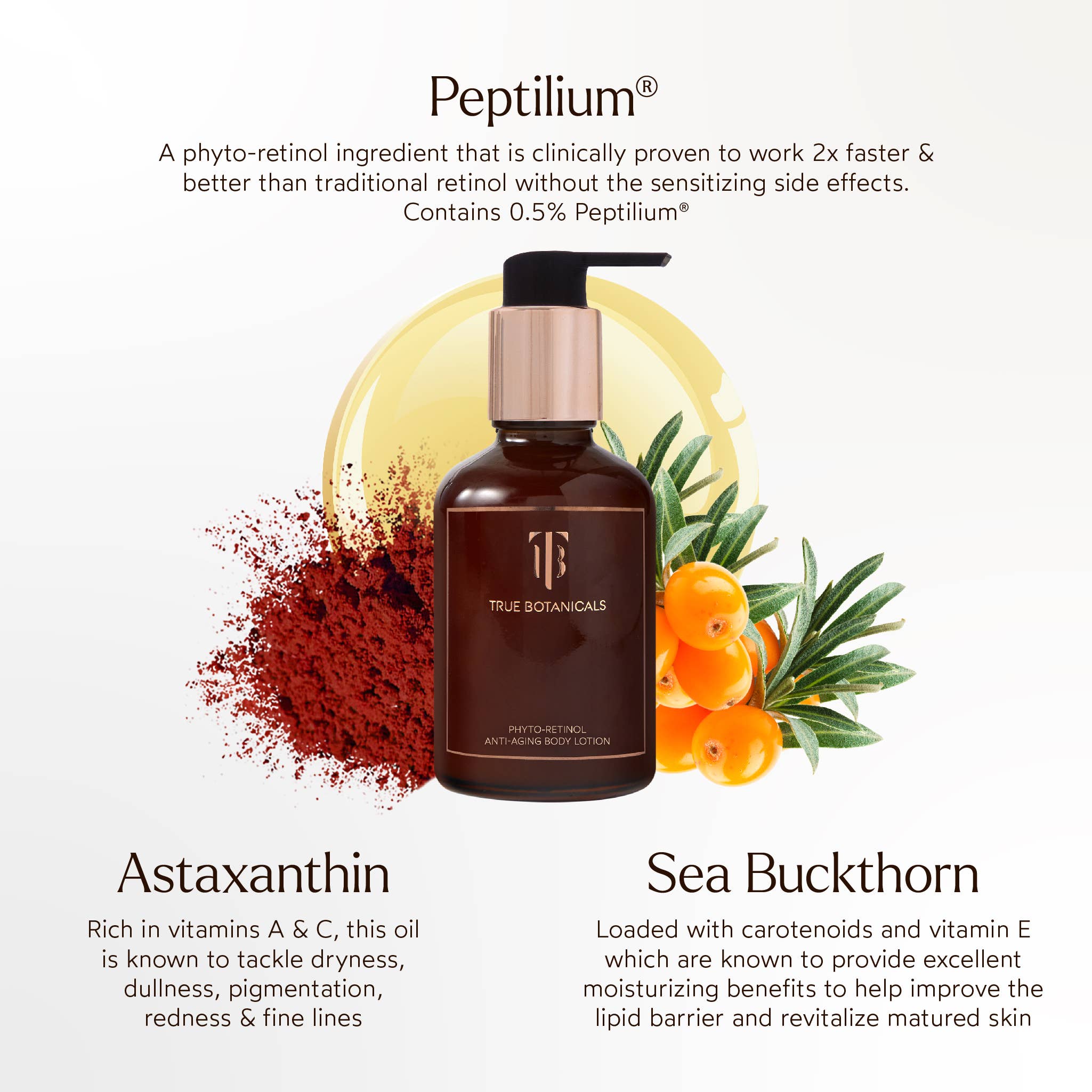 Phyto-Retinol Anti-Aging Body Lotion back label ingredient detail