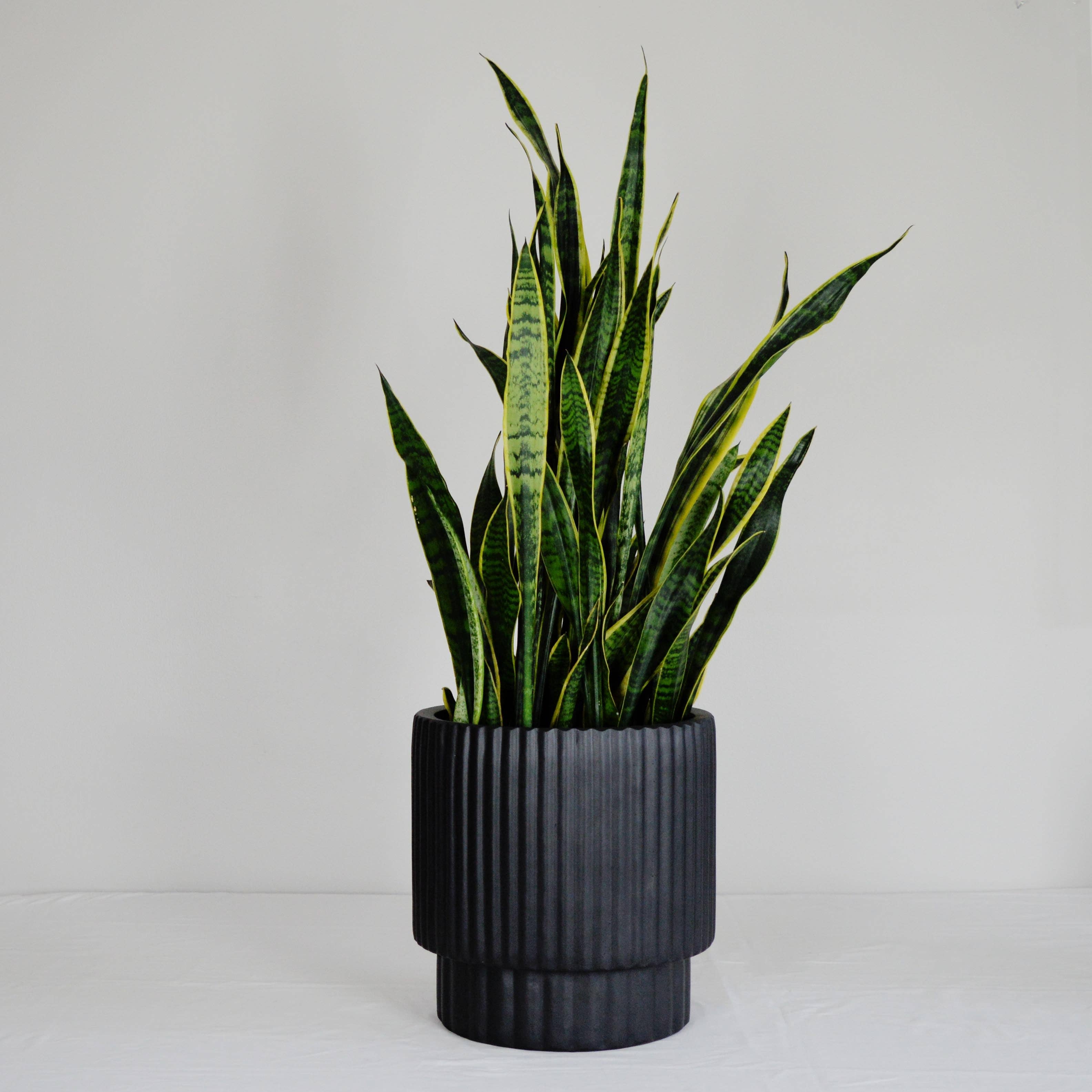 RIDGED CYLINDER POT | PLANTER