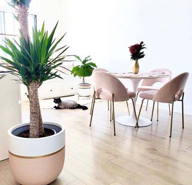 GALA POT | PLANTER