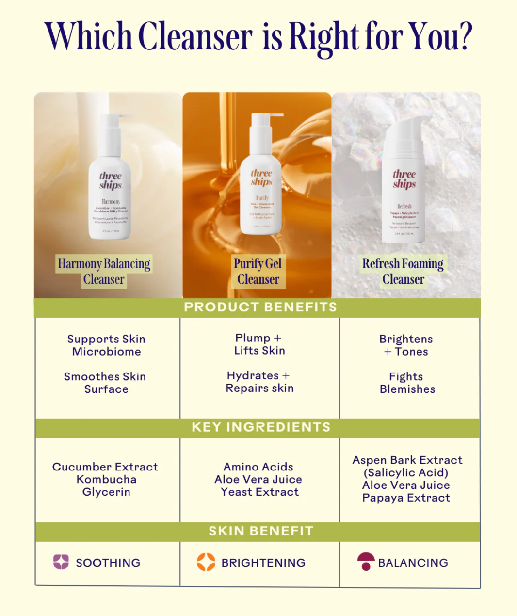 Purify Aloe & Amino Acid Gel Cleanser