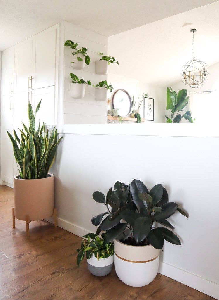 GALA POT | PLANTER