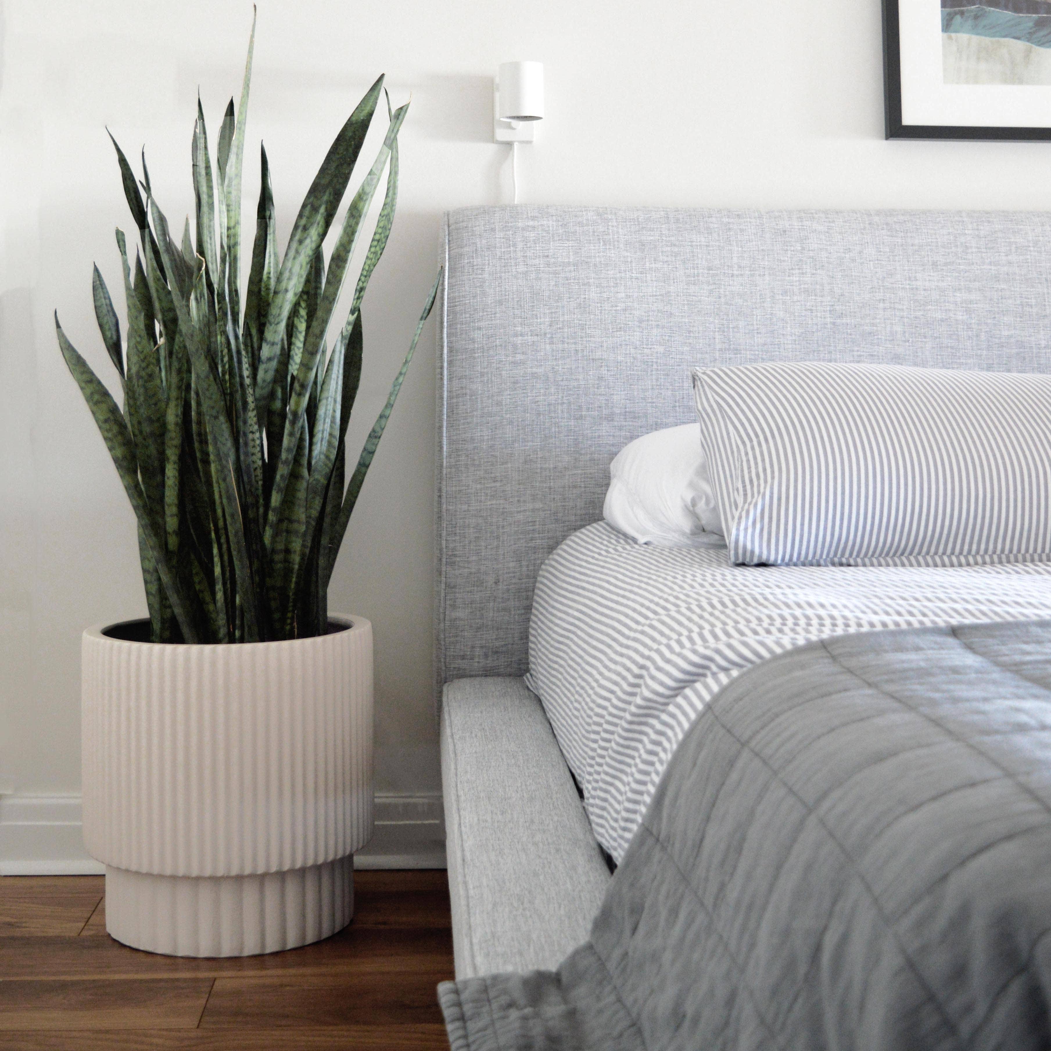 RIDGED CYLINDER POT | PLANTER