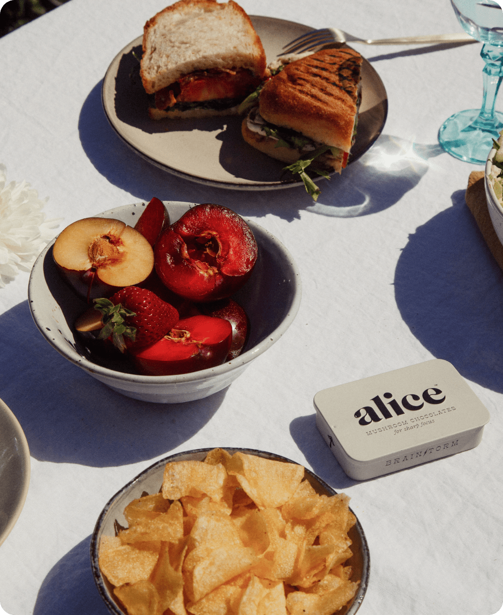 Brainstorm — mushroom chocolates for focus - Free Living Co