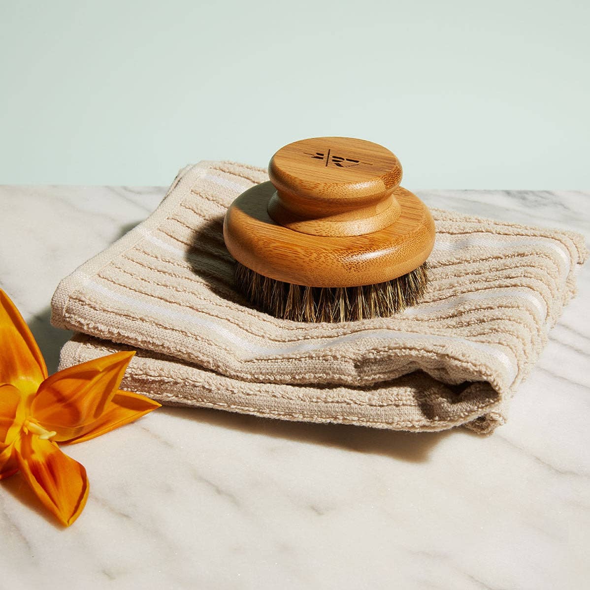 The Dry Brush product front view, premium natural bristle body dry brushing tool