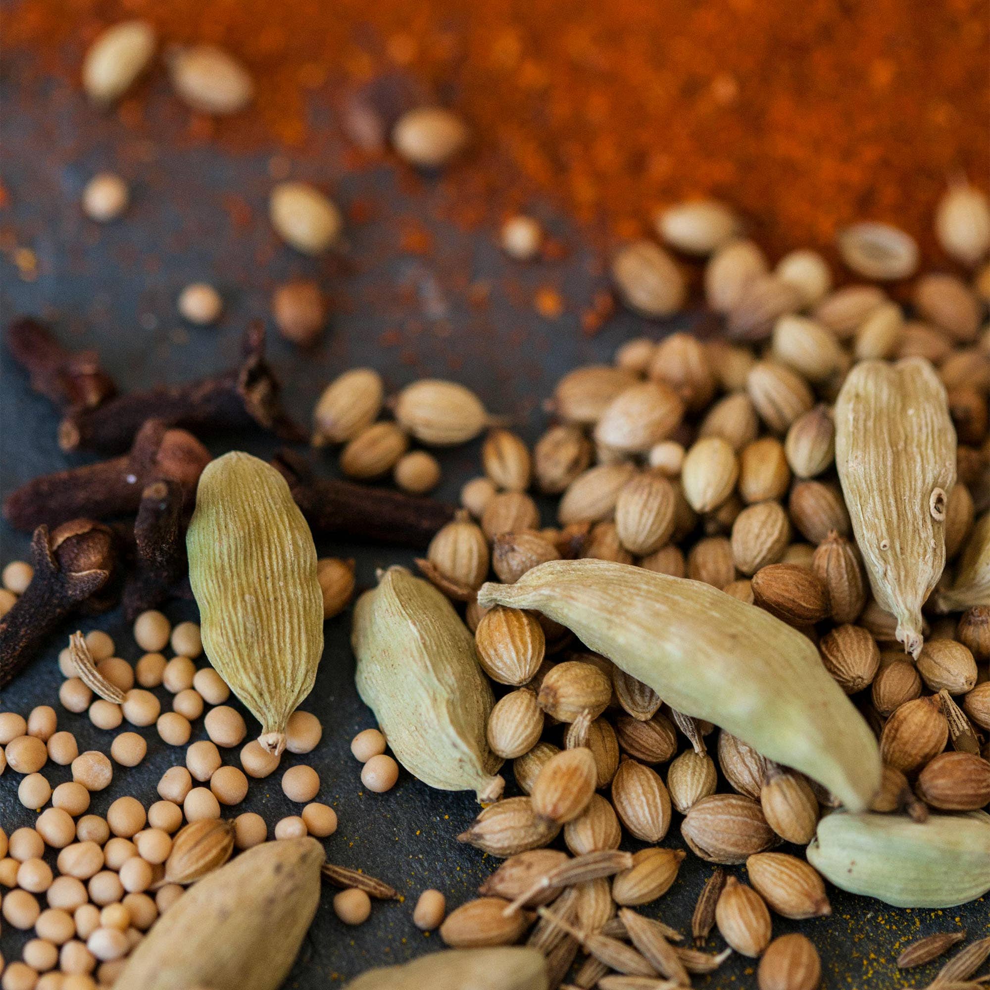 Chai Spice Push Scent Refill - Free Living Co