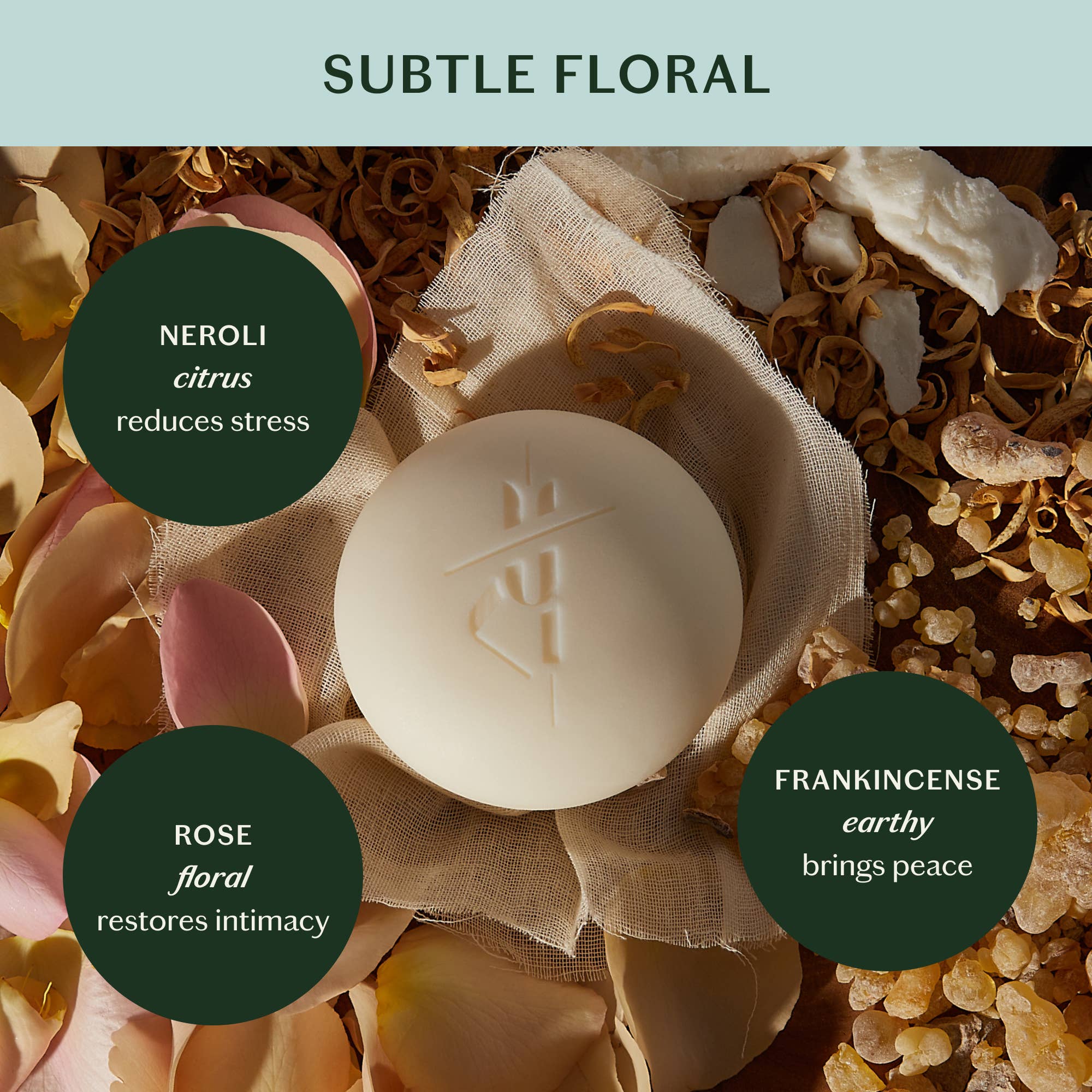 Daily Stone | Deep Moisturizing Lotion Bar - Free Living Co