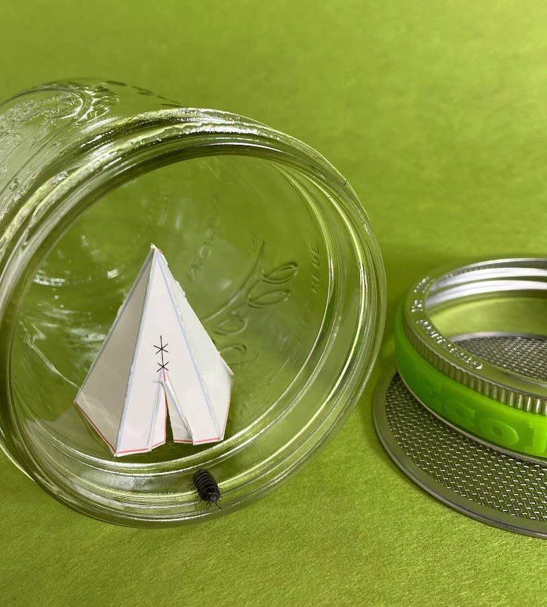 DIY Bug Hotel - Wide Mouth - Free Living Co