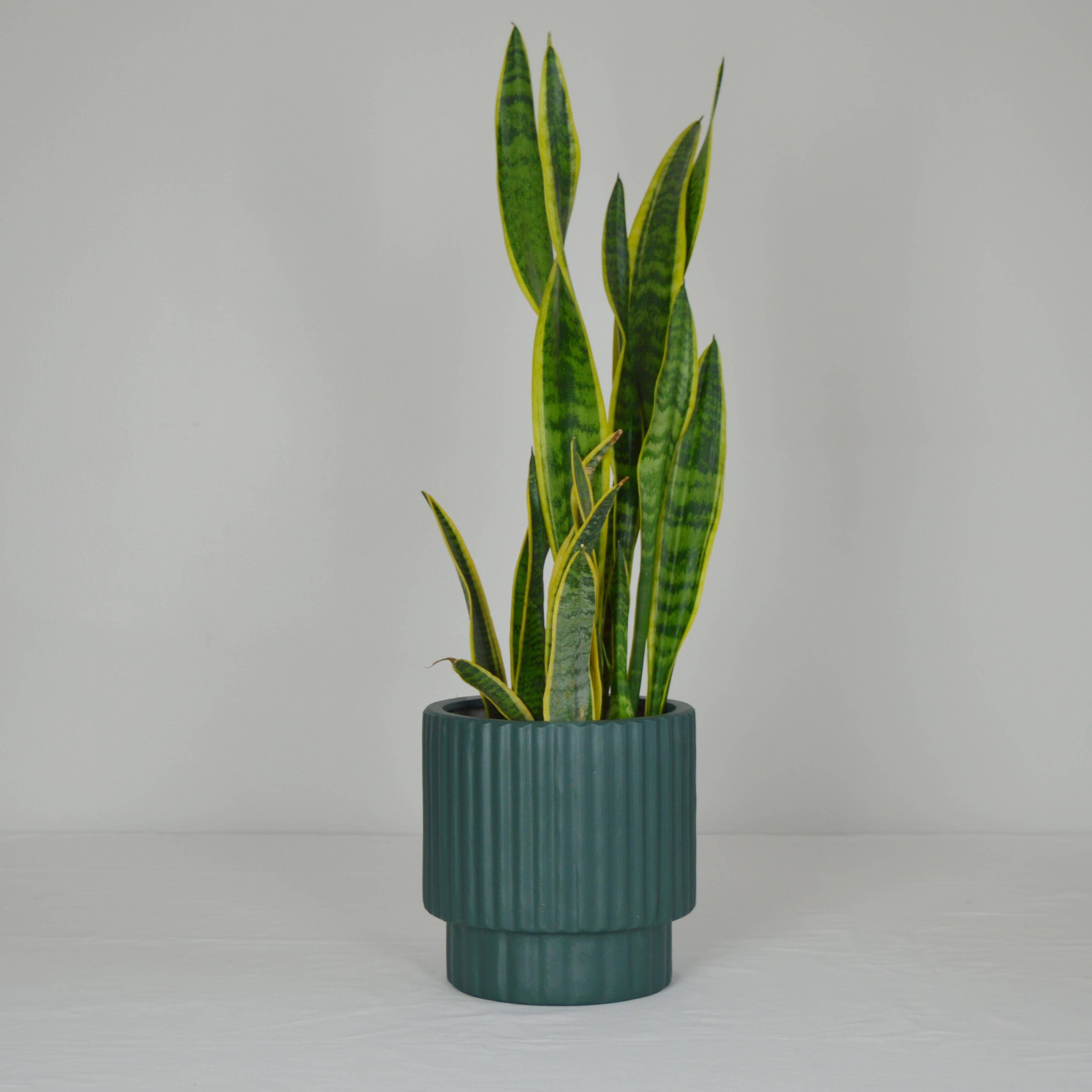 RIDGED CYLINDER POT | PLANTER