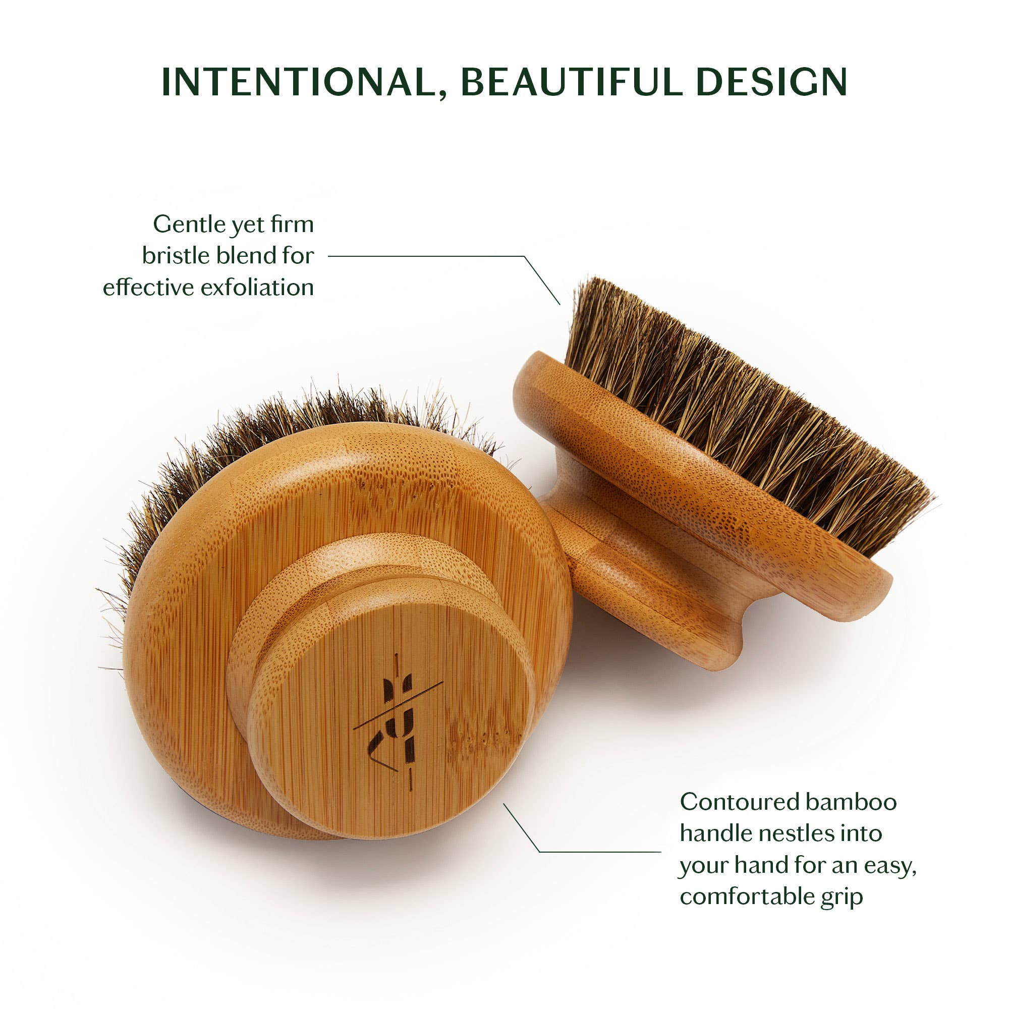 The Dry Brush close-up of bristle density and handle detail
