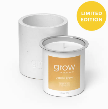 Everyday Candle Refill - Free Living Co