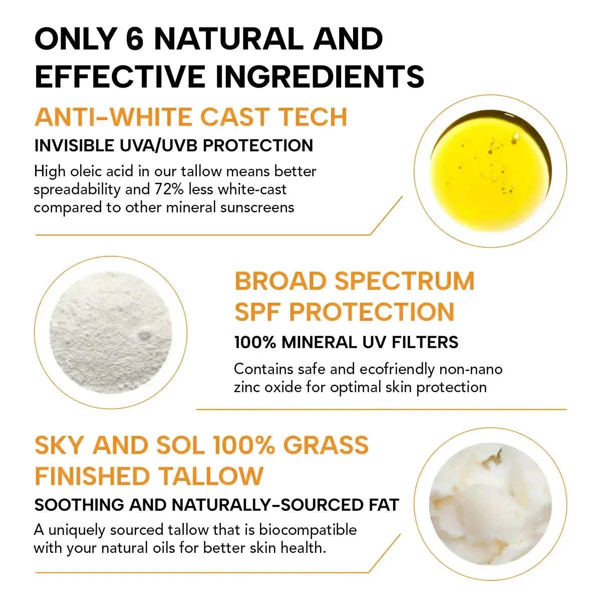 Face and Body Sunscreen SPF 30 or 50 - Free Living Co