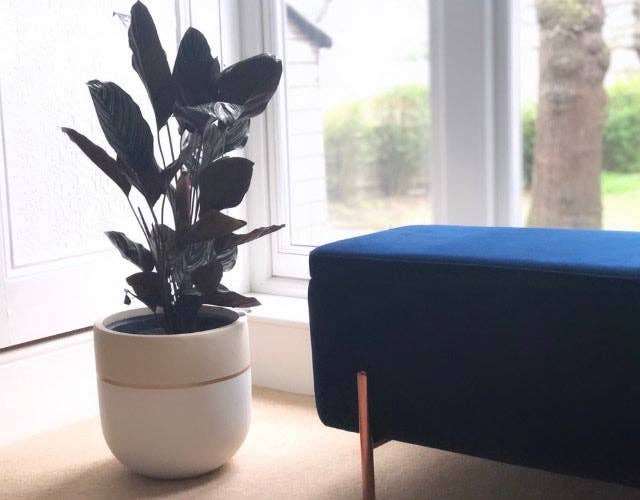 GALA POT | PLANTER - Free Living Co