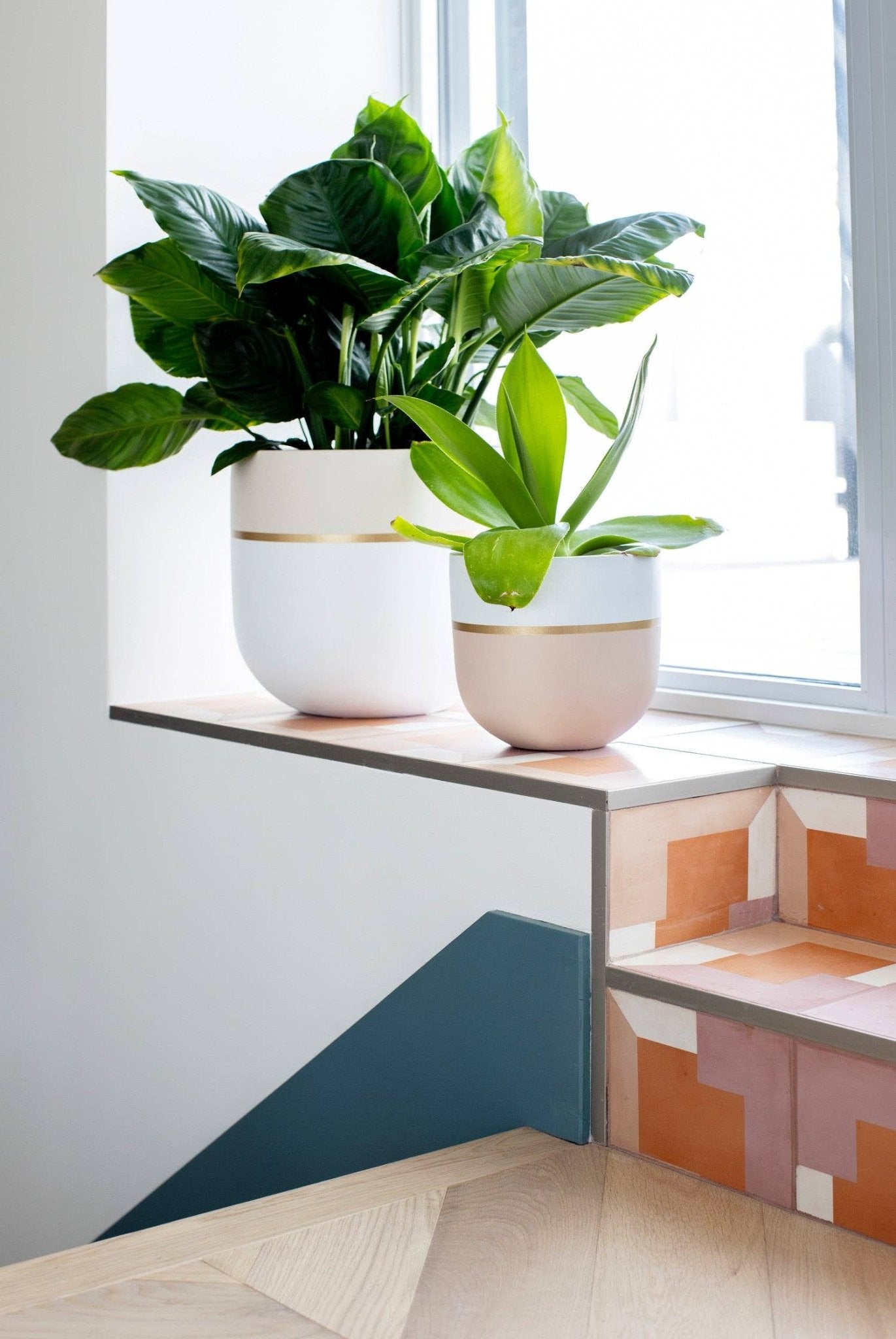 GALA POT | PLANTER - Free Living Co