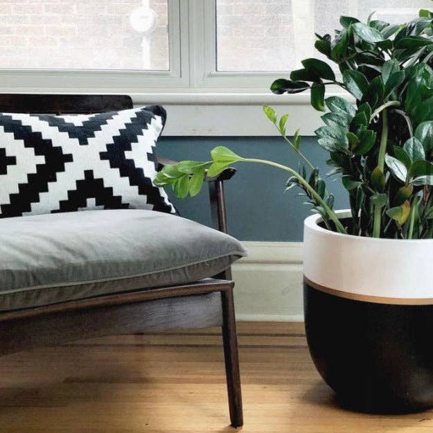 GALA POT | PLANTER - Free Living Co