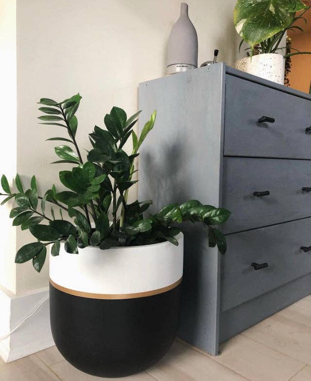 GALA POT | PLANTER - Free Living Co