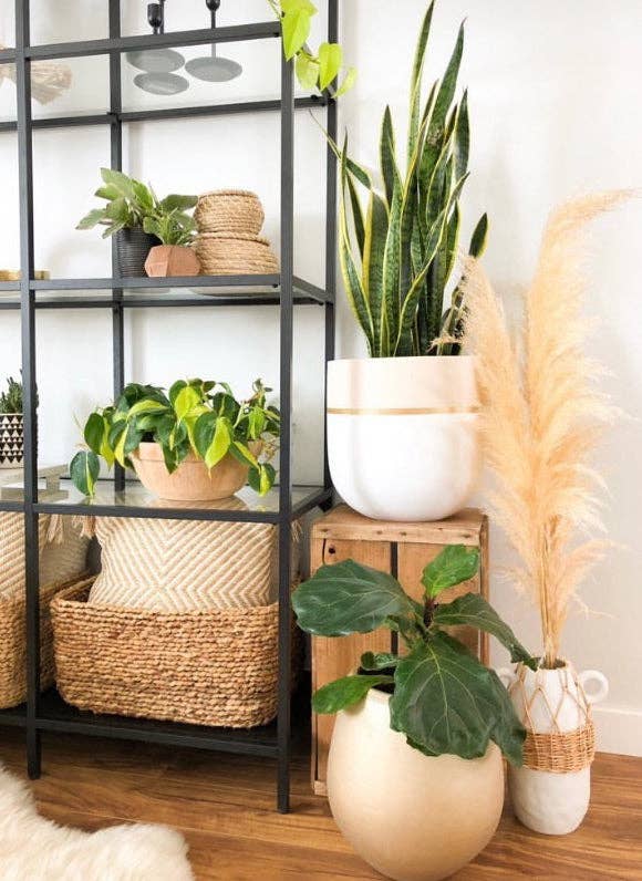 GALA POT | PLANTER - Free Living Co