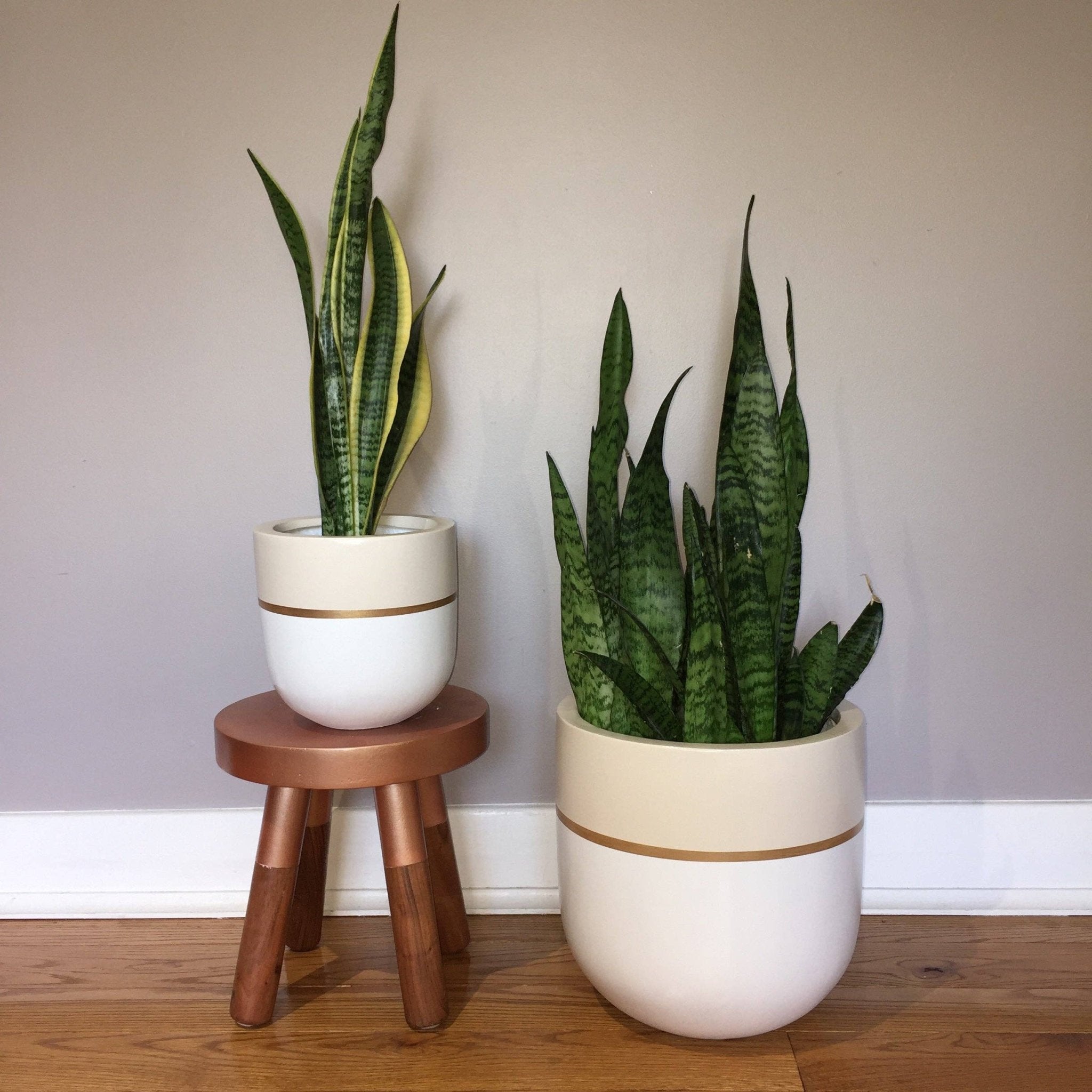 GALA POT | PLANTER - Free Living Co