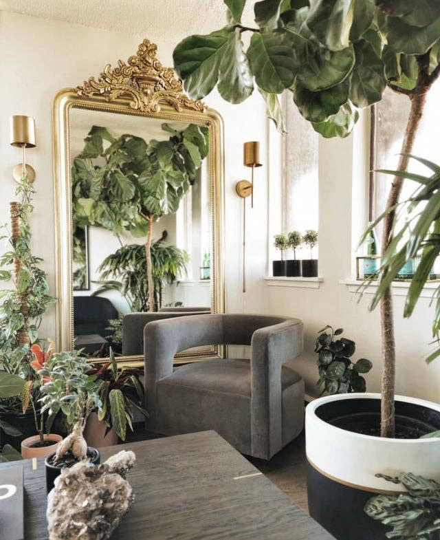 GALA POT | PLANTER - Free Living Co