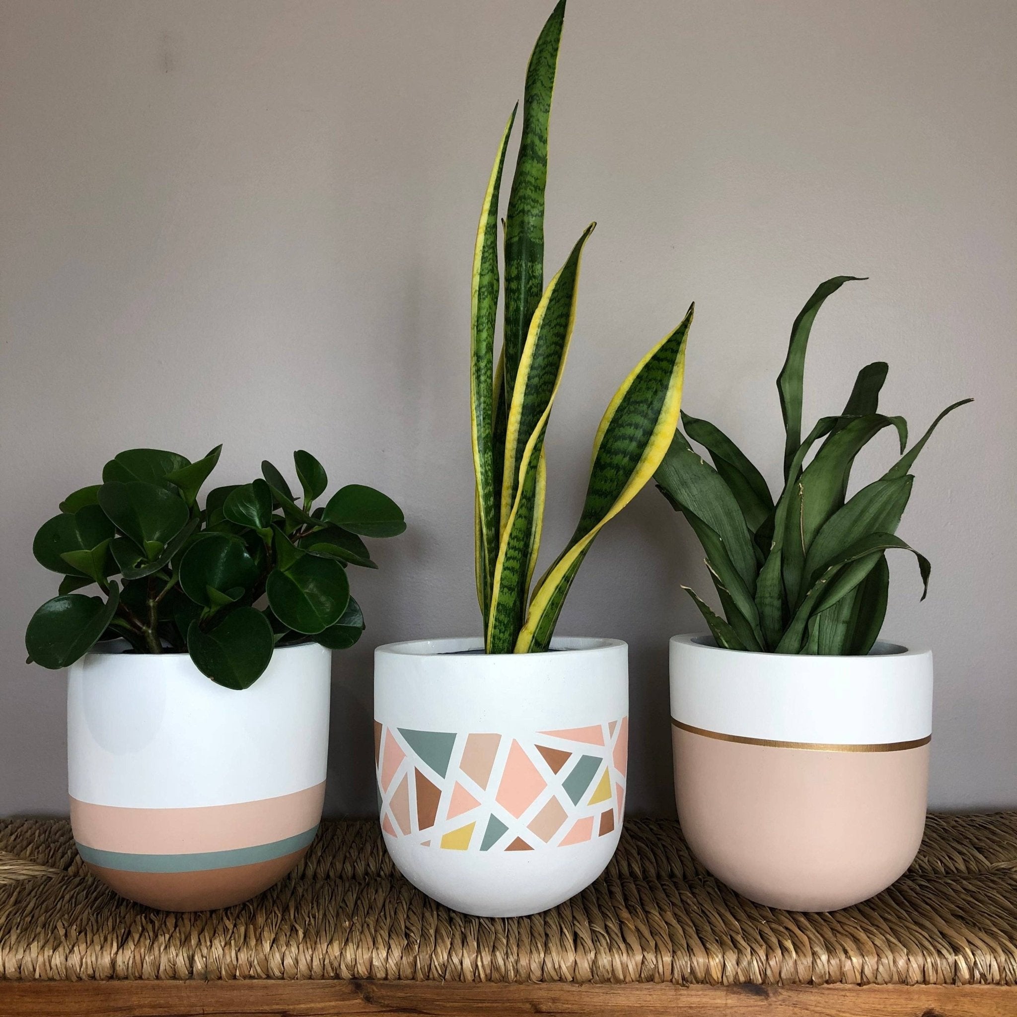 GALA POT | PLANTER - Free Living Co