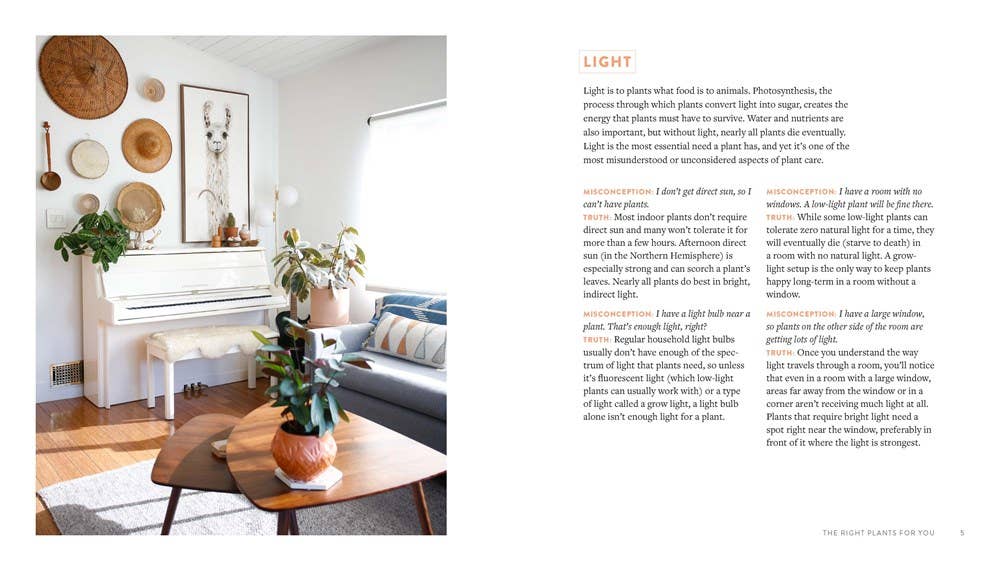 Houseplants for All: Danae Horst - Free Living Co