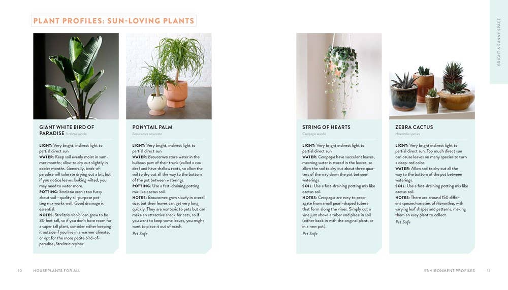 Houseplants for All: Danae Horst - Free Living Co