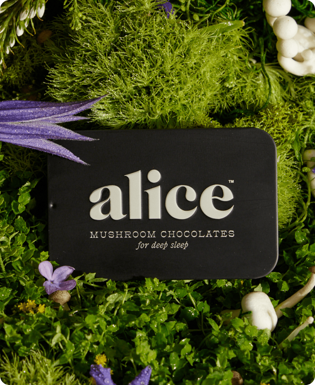 Nightcap — mushroom chocolates for deep sleep - Free Living Co