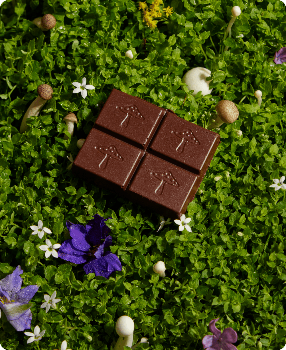 Nightcap — mushroom chocolates for deep sleep - Free Living Co