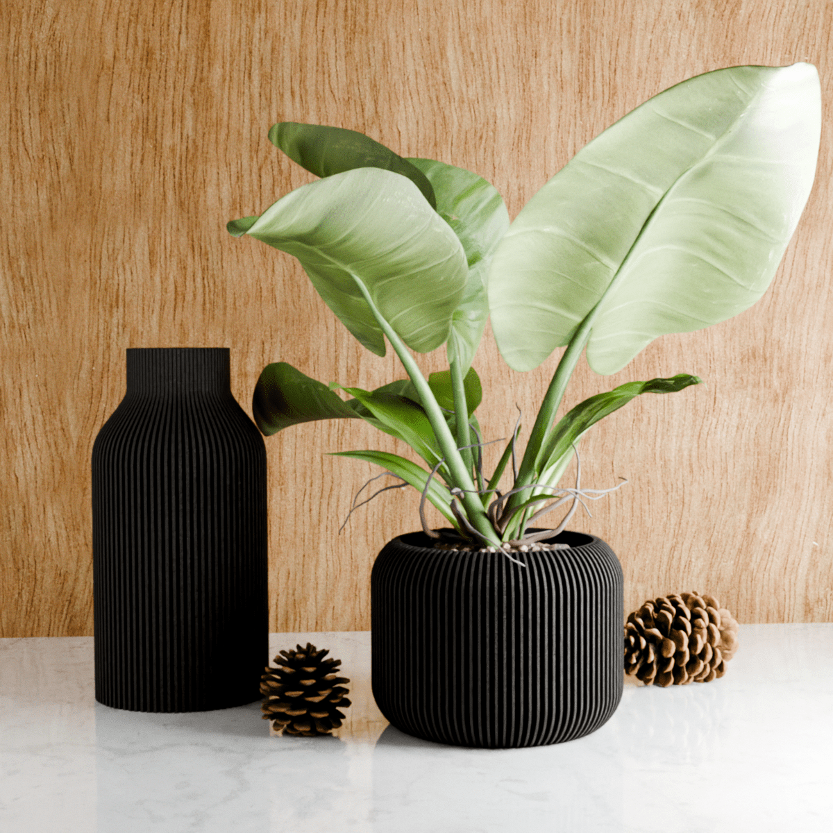 ORBIS Planter - Free Living Co