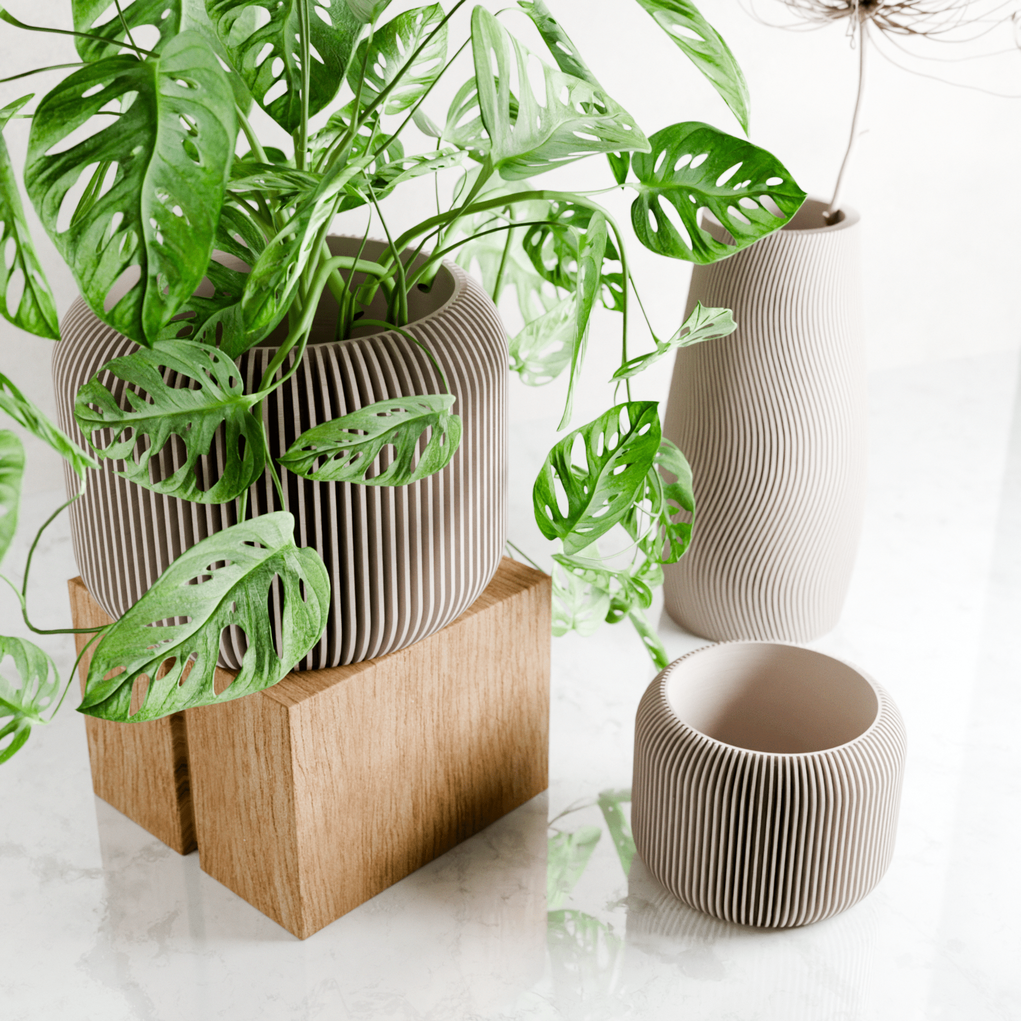 ORBIS Planter - Free Living Co