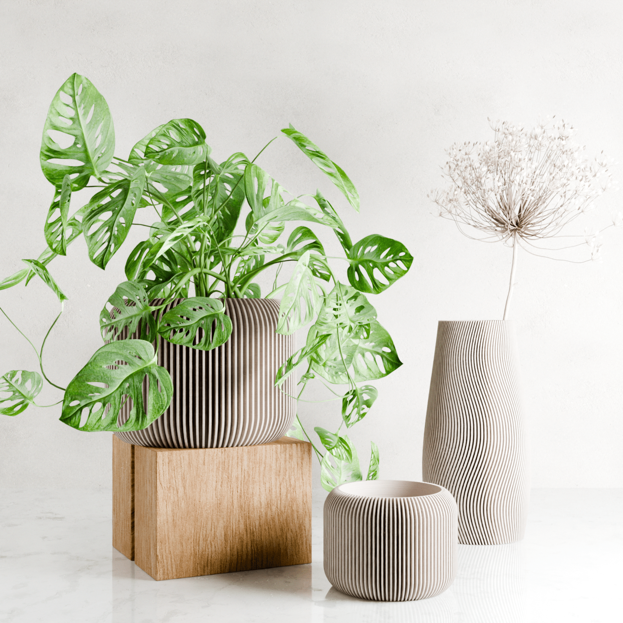 ORBIS Planter - Free Living Co