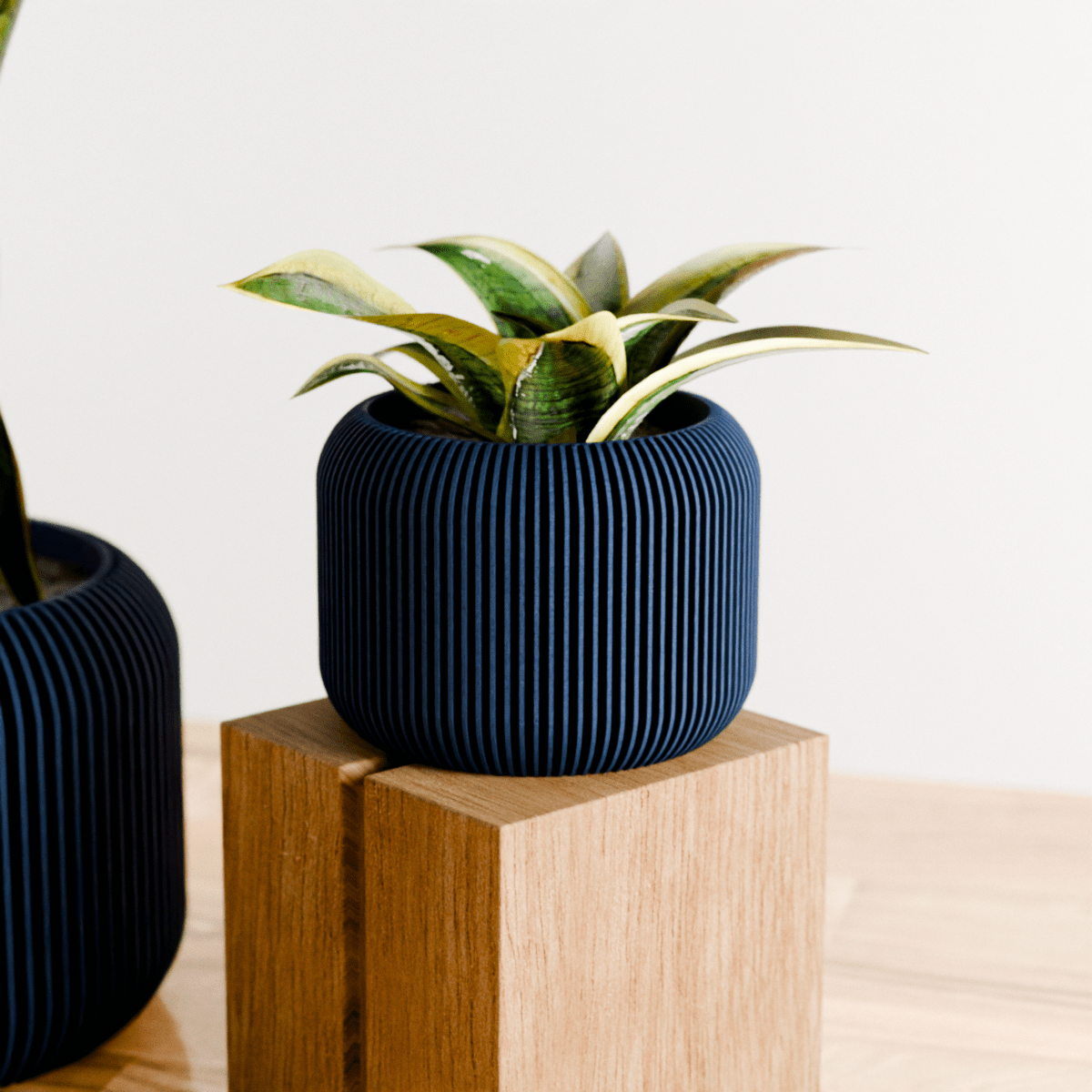 ORBIS Planter - Free Living Co
