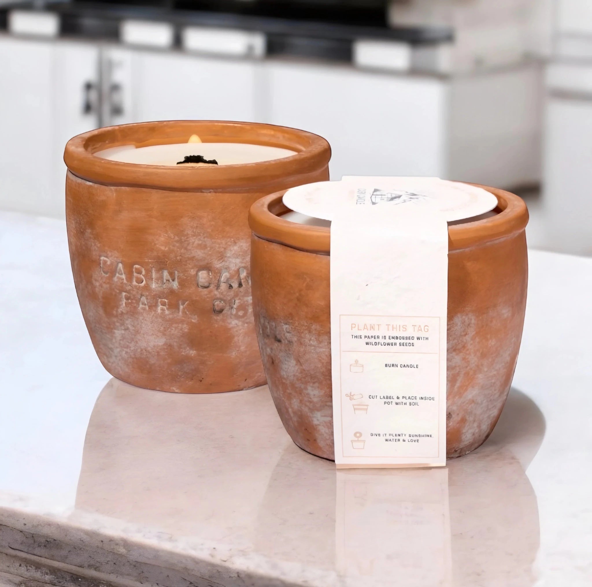 Palo Santo Non-Toxic Burn & Grow Coco Wax Candle | Cabin Candle Park City - Free Living Co