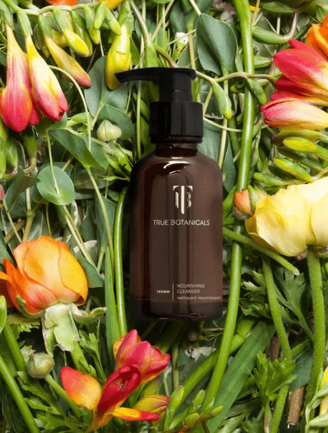 Renew - Nourishing Cleanser - Free Living Co