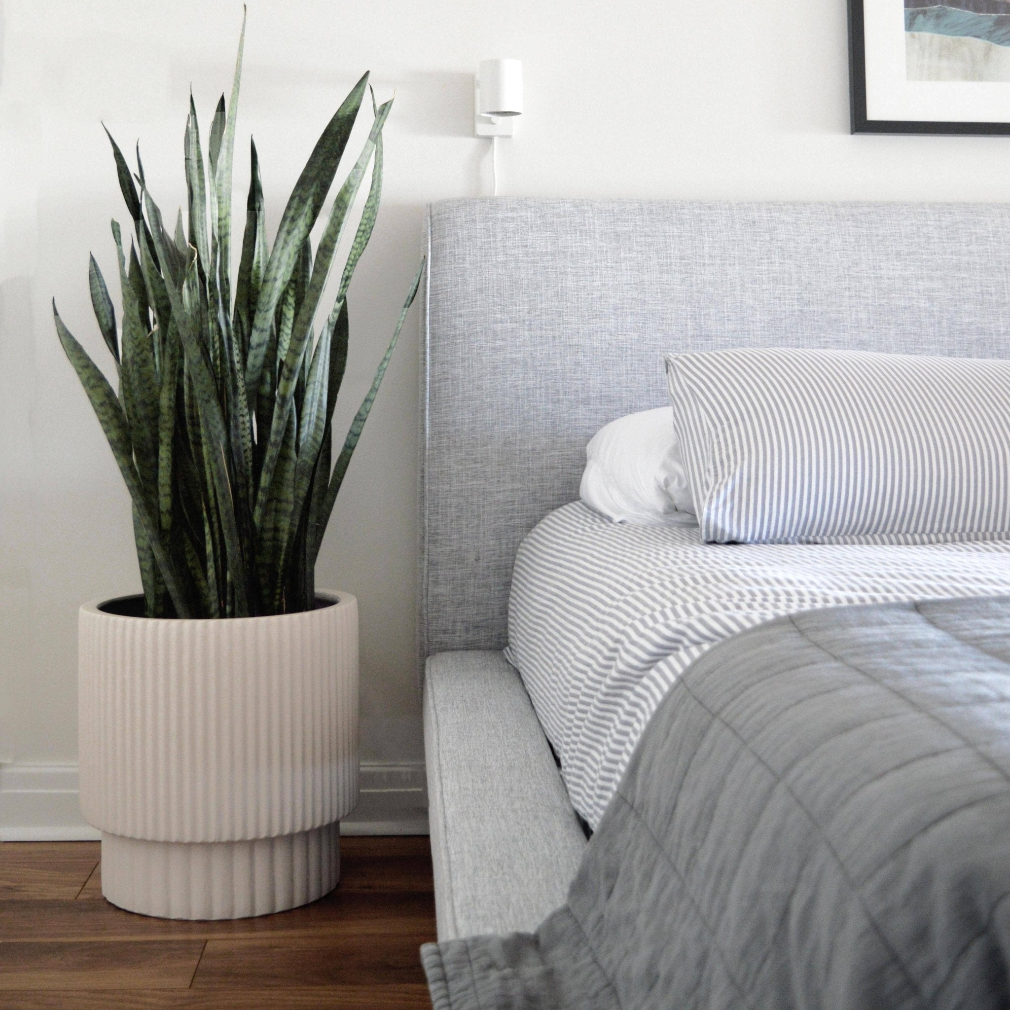 RIDGED CYLINDER POT | PLANTER - Free Living Co